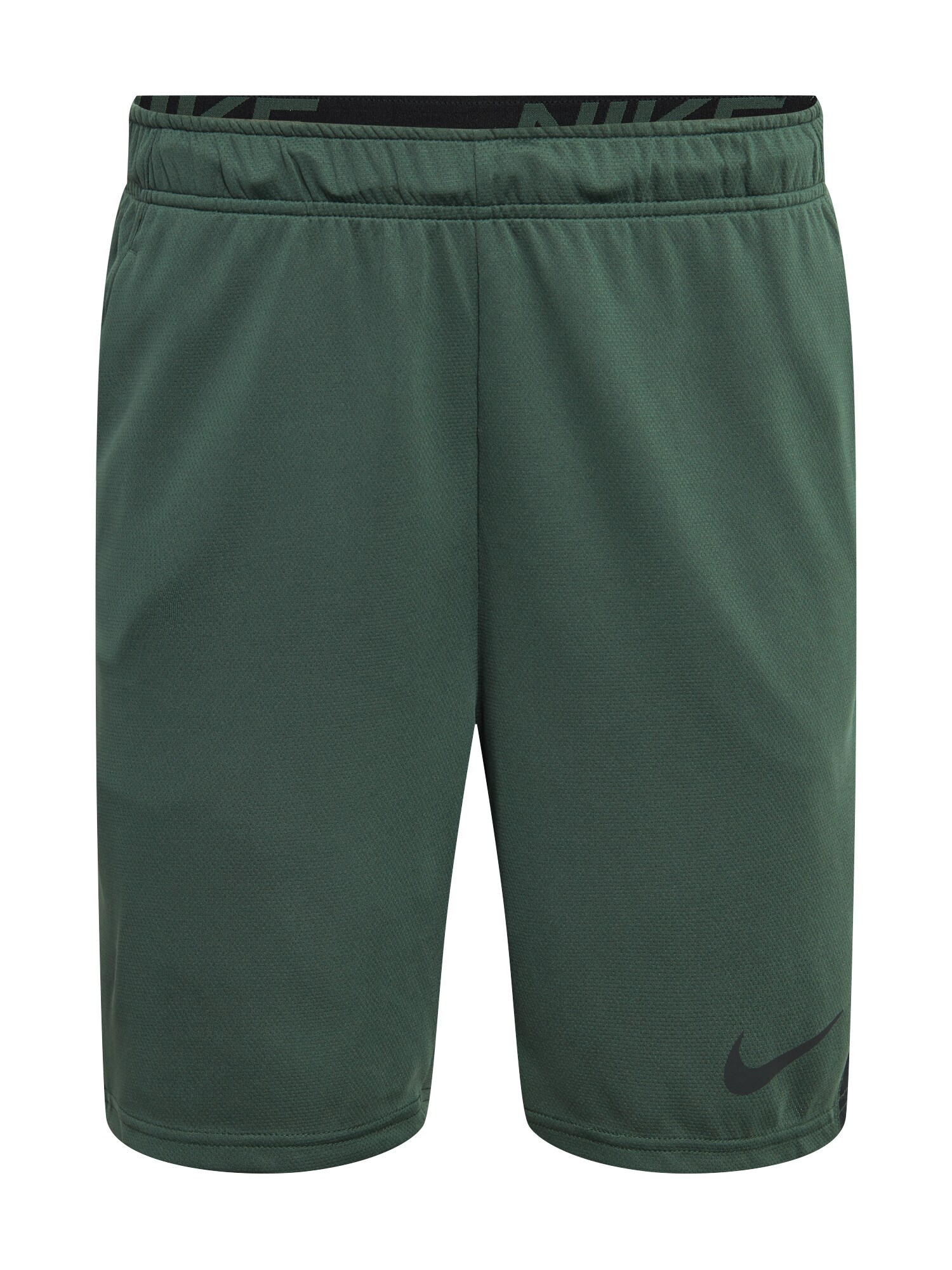 NIKE Sportinės kelnės  juoda / tamsiai žalia