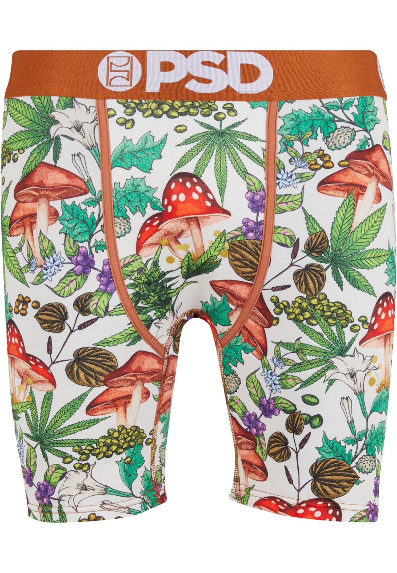 PSD Calzoncillo boxer  mezcla de colores