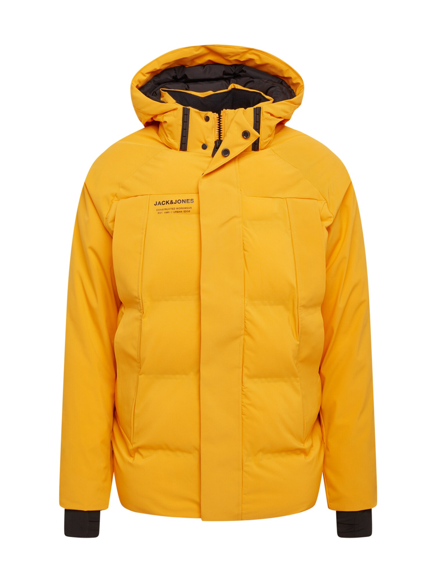 JACK & JONES Žieminė striukė 'ALBERT'  abrikosų spalva
