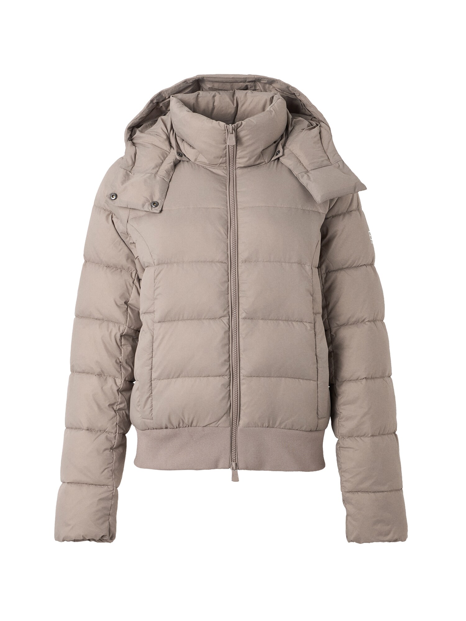 EA7 Emporio Armani Zimná bunda  sivá