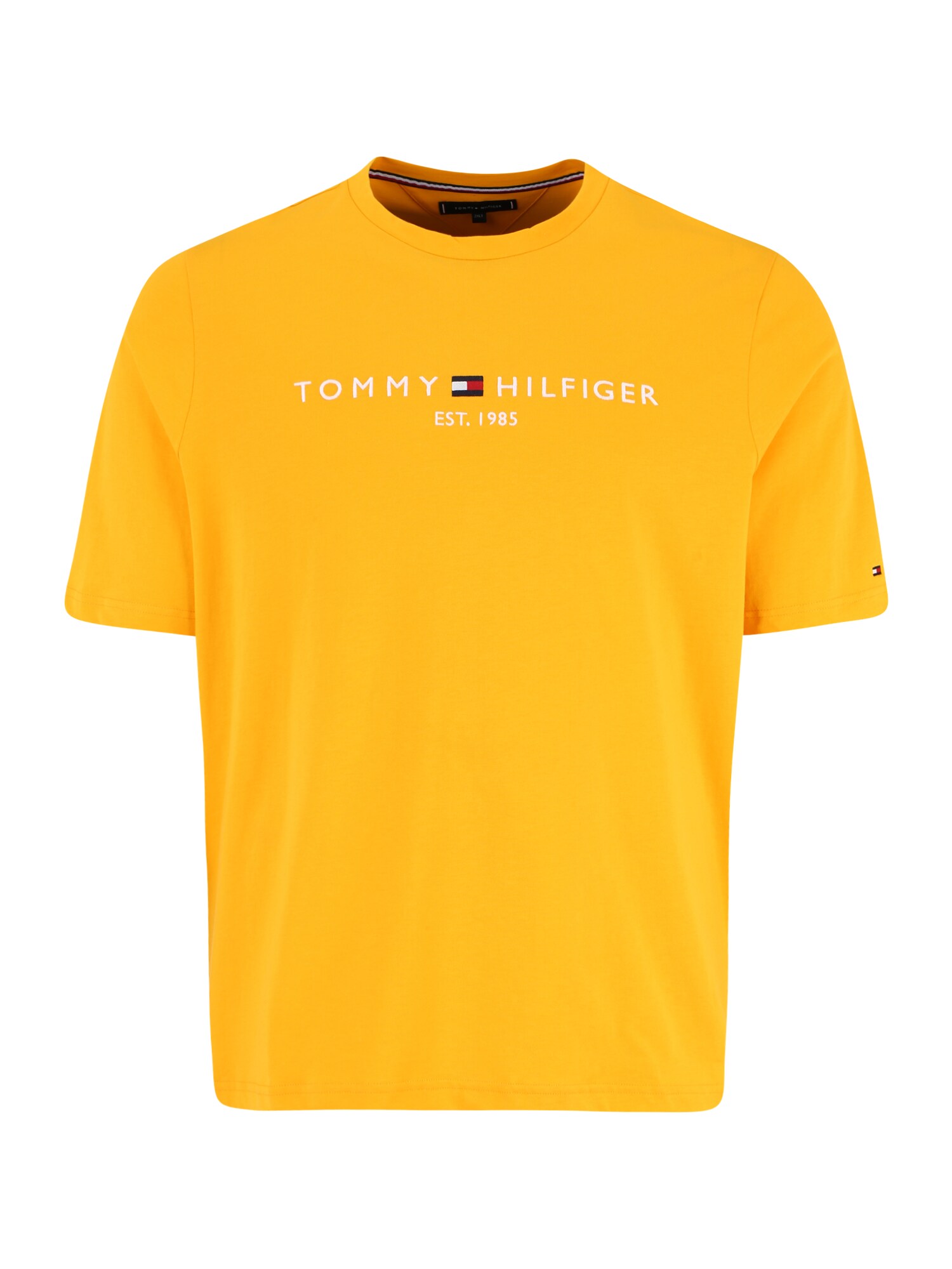Tommy Hilfiger Big & Tall Marškinėliai tamsiai mėlyna / geltona / raudona / balta