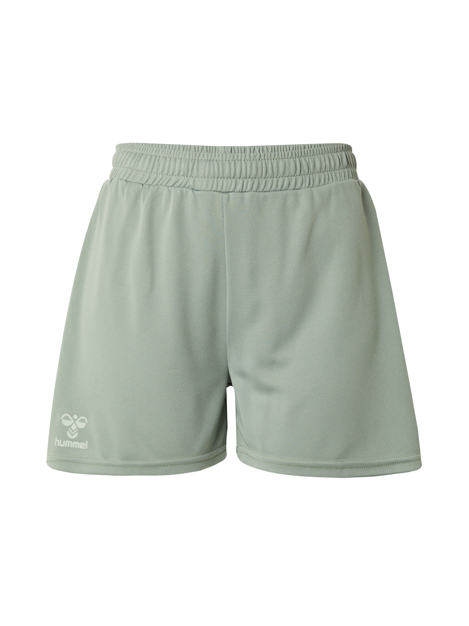 Hummel Sportske hlače 'Active'  pastelno zelena