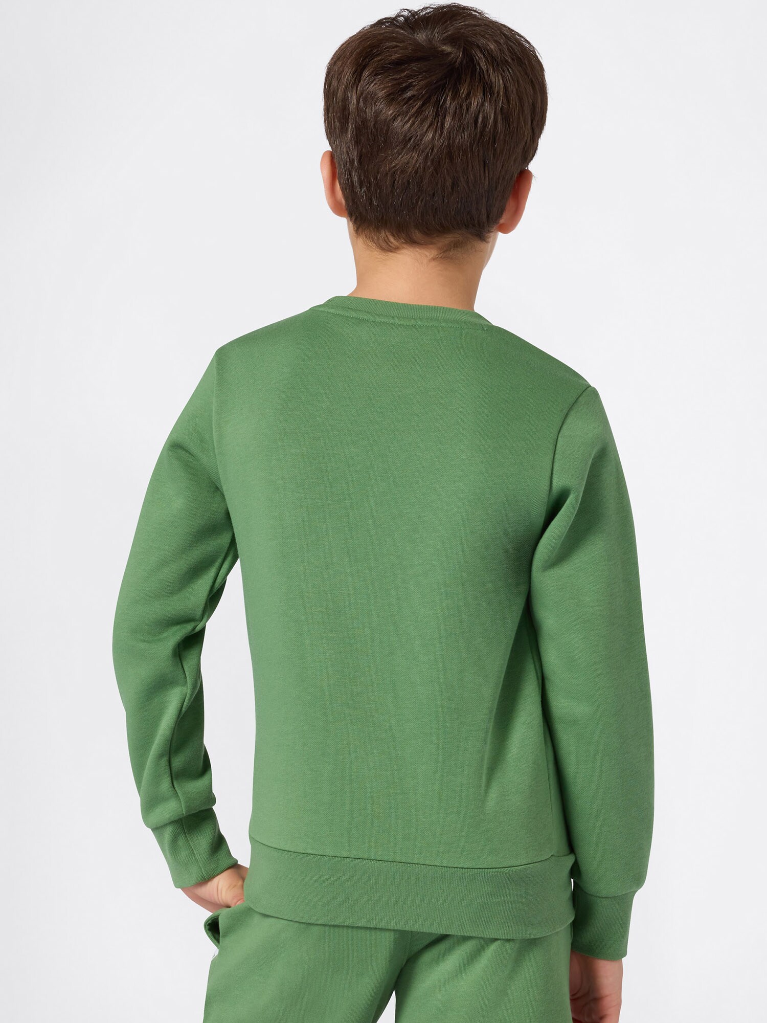 Thumbnail - Champion Authentic Athletic Apparel Sweatshirt