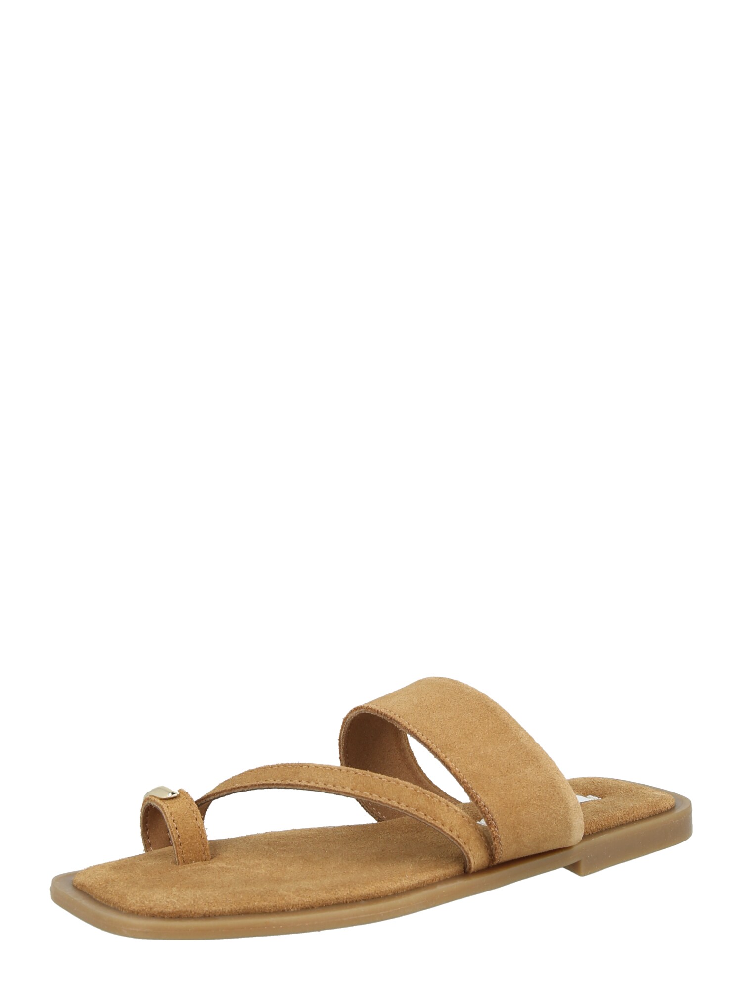 STEVE MADDEN Sandalias de dedo 'Ellaina'  beige
