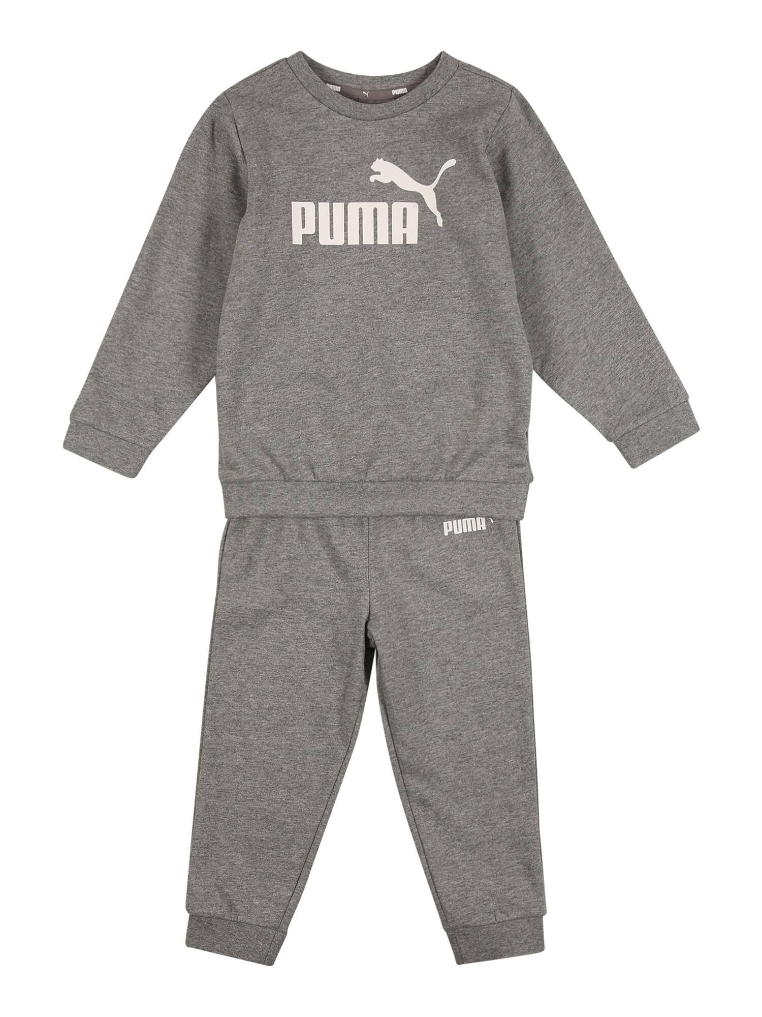 PUMA Sportinis kostiumas  pilka / balta