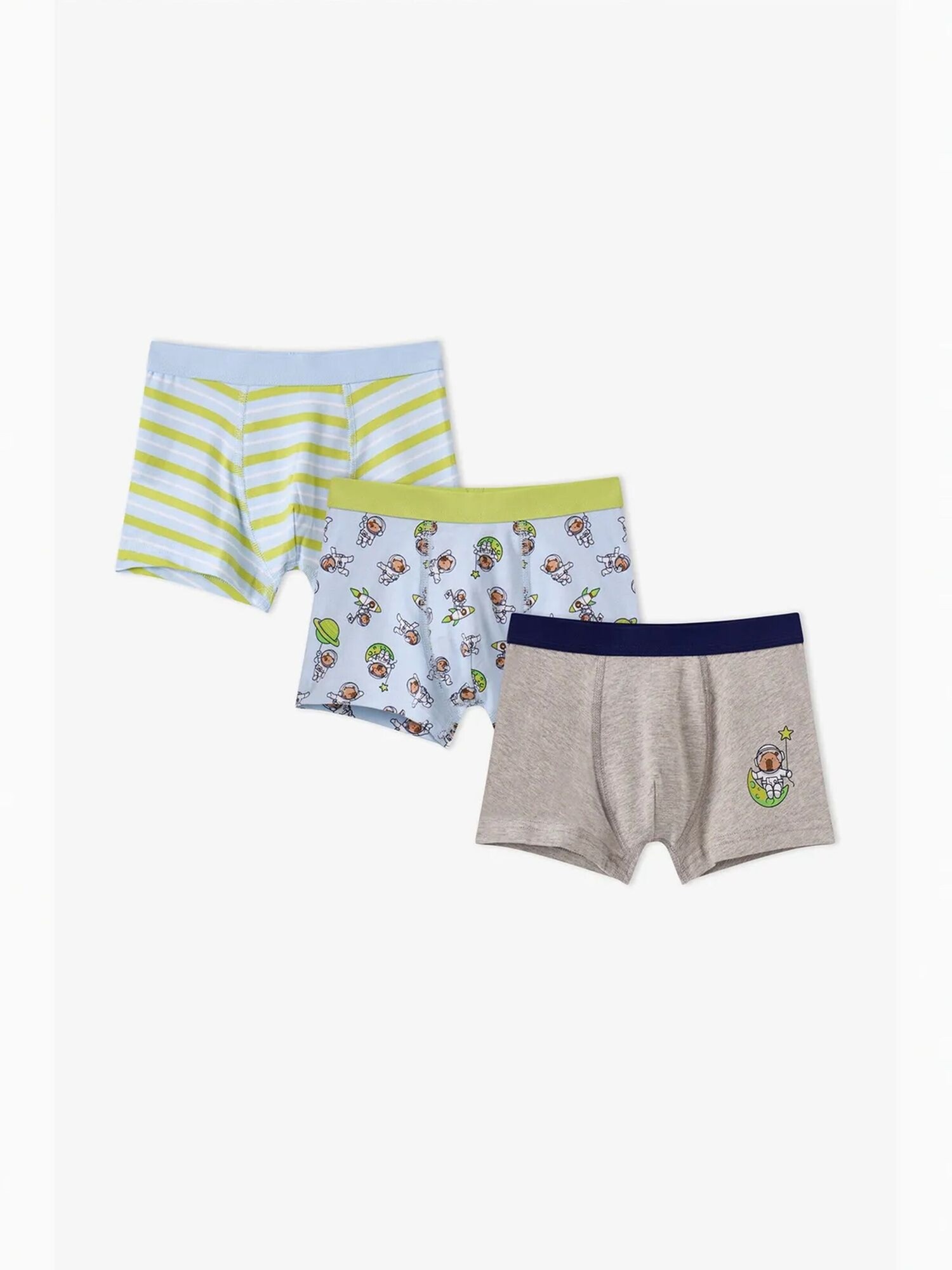 Penti Gaće 'PENTI Jungen Boxershorts Capybaras Space' miks boja