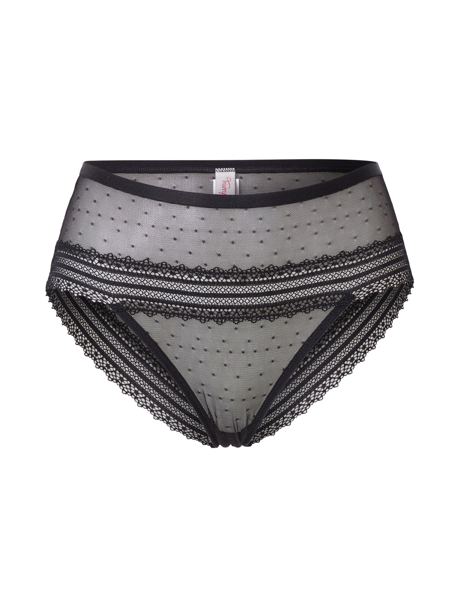 TRIUMPH Nohavičky 'Tempting Tulle_01 Maxi'  čierna