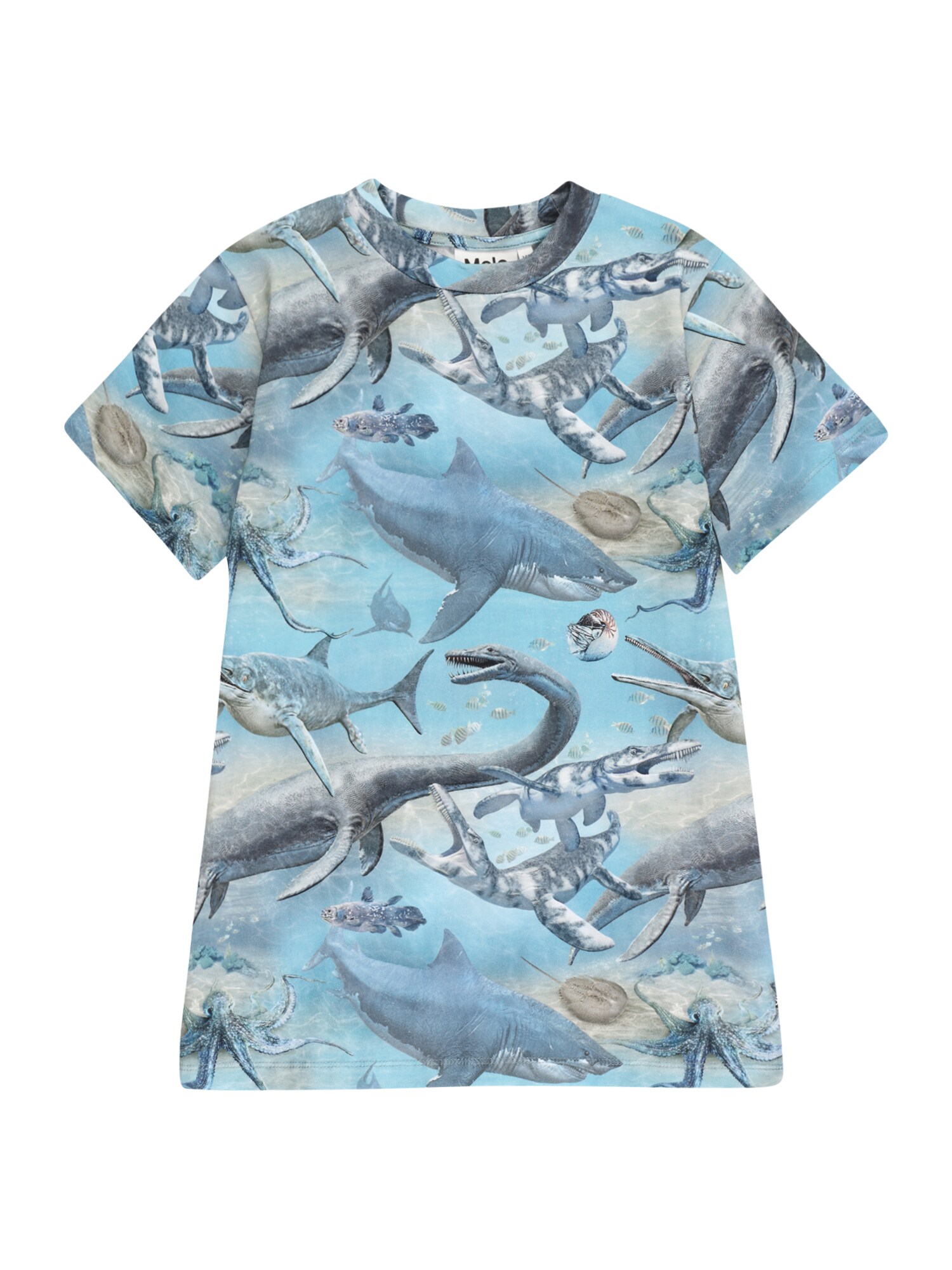 Molo Marškinėliai 'Ralphie' tamsiai mėlyna jūros spalva / šviesiai mėlyna / pilka