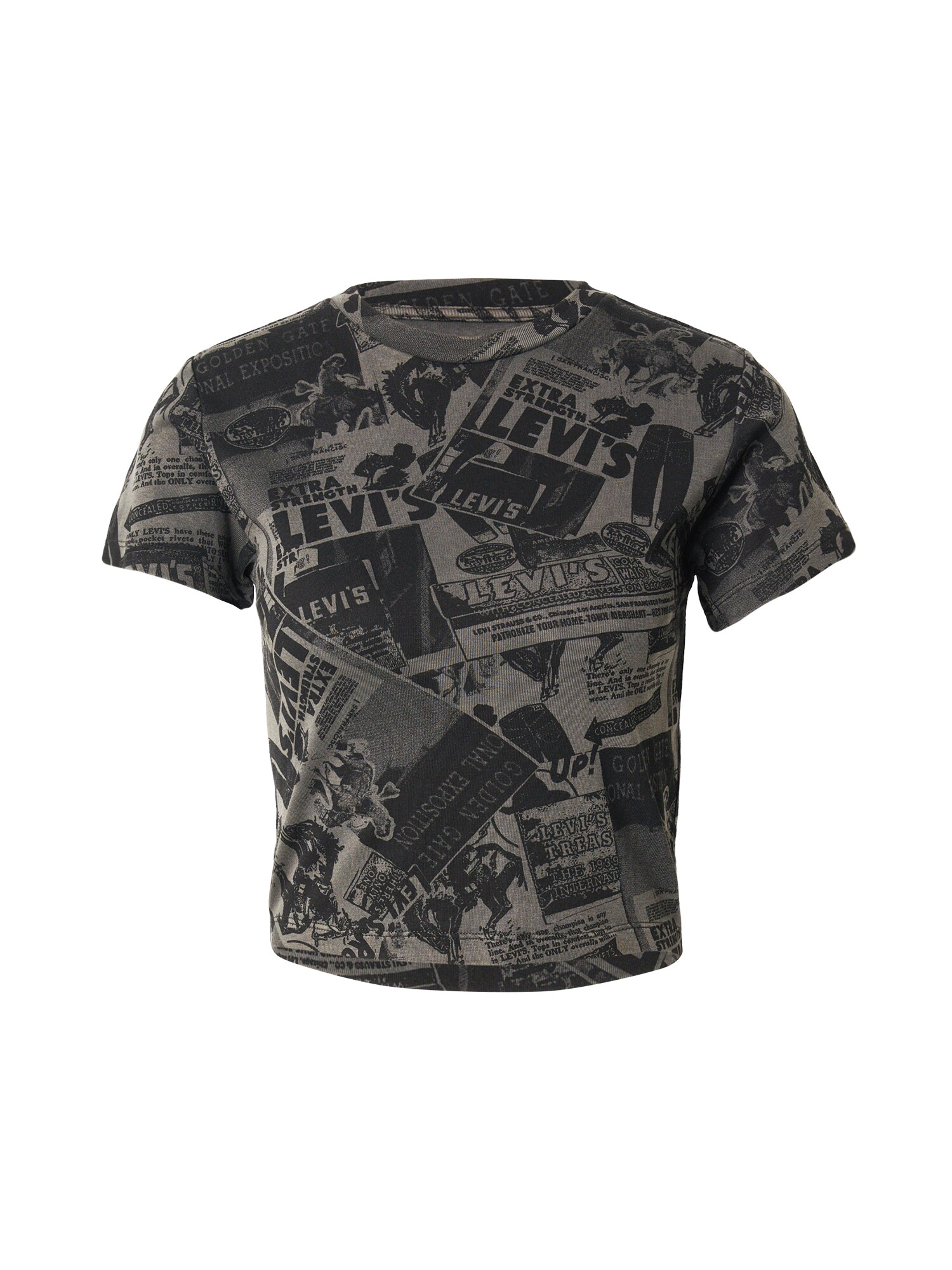 LEVIS ® Tricou Graphic Essential Sporty Tee  gri metalic / pământiu / negru