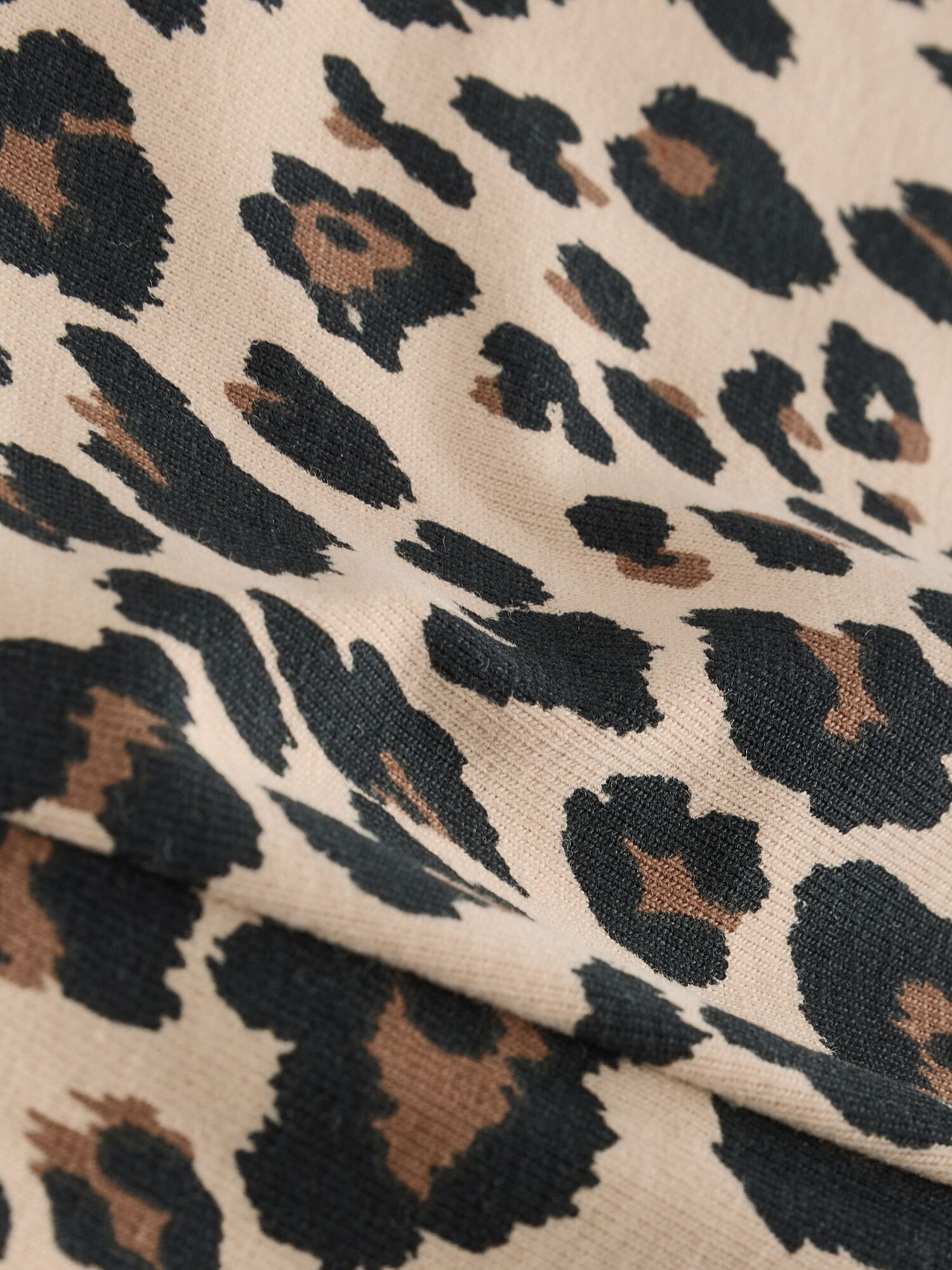 Thumbnail - Next Shorts