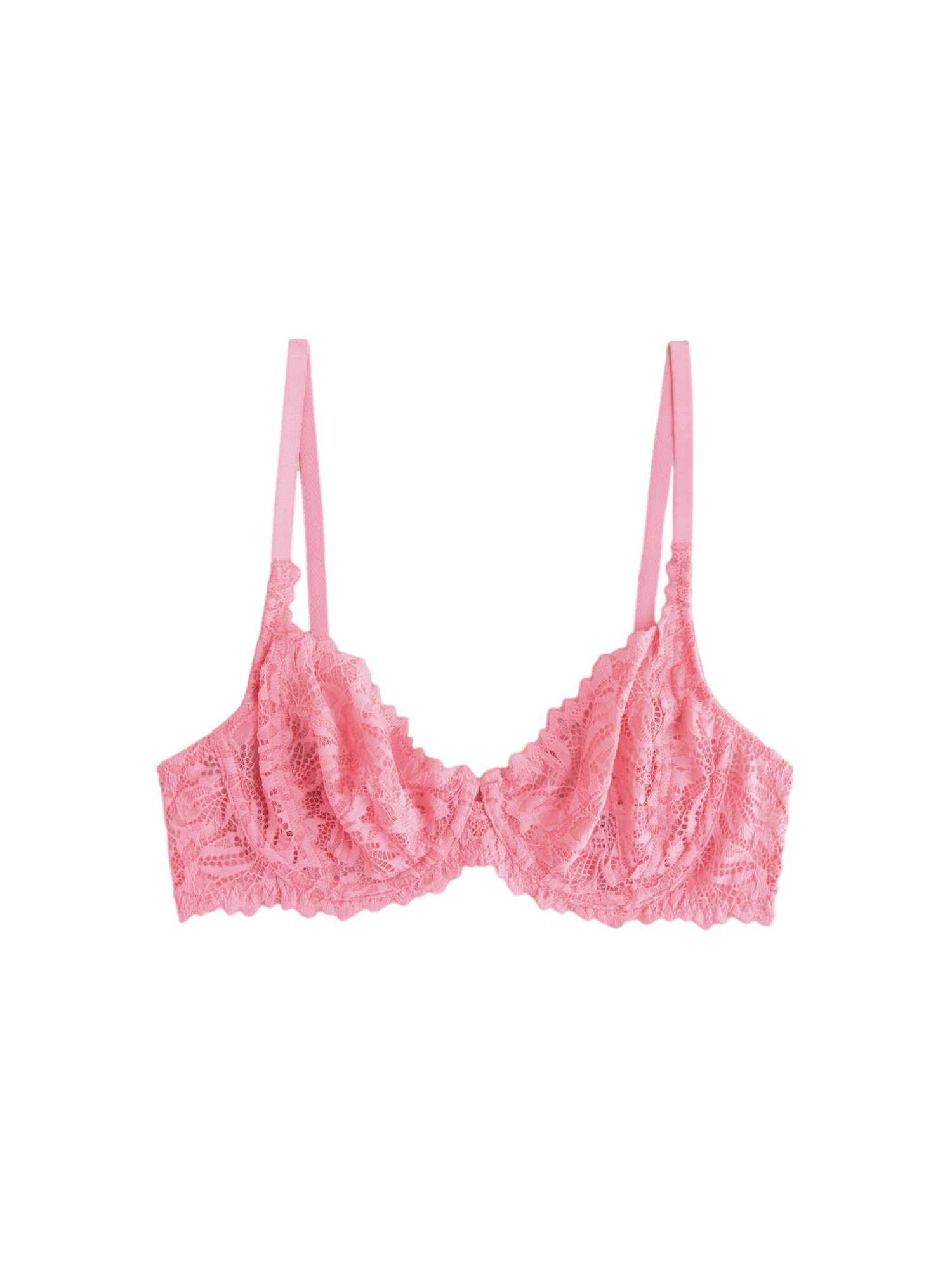 Next Sutien  roz pitaya