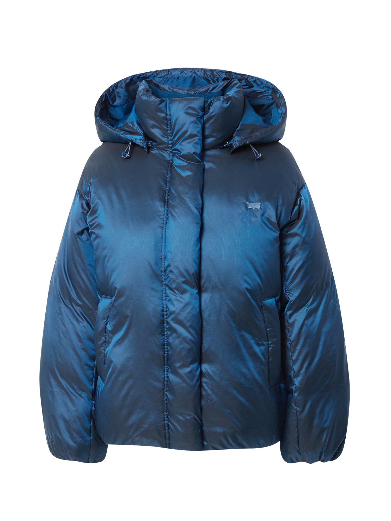 LEVI'S Zimska jakna  modra / temno modra