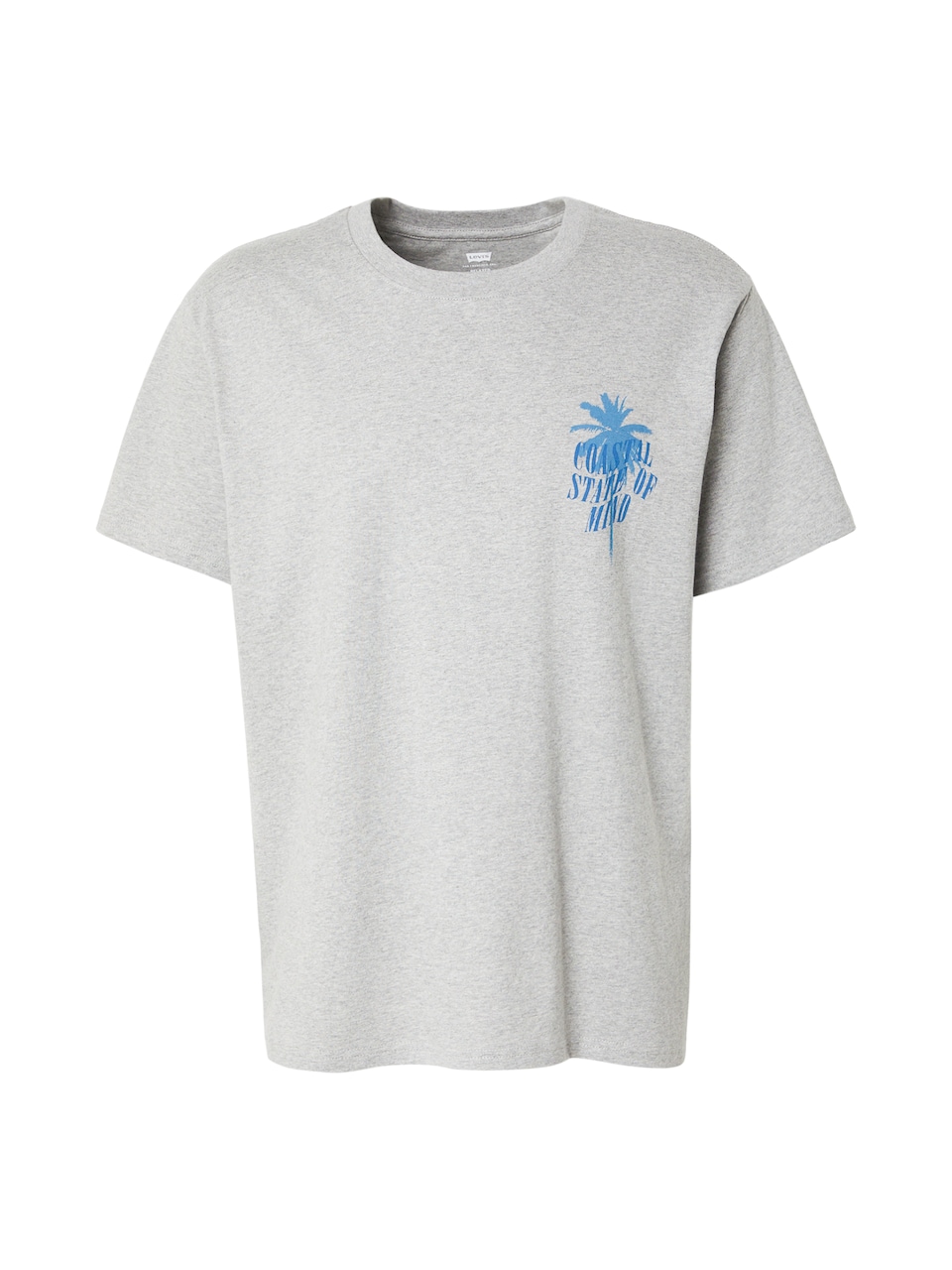 T-shirt 'Relaxed Graphic Tee' blå / ljusblå