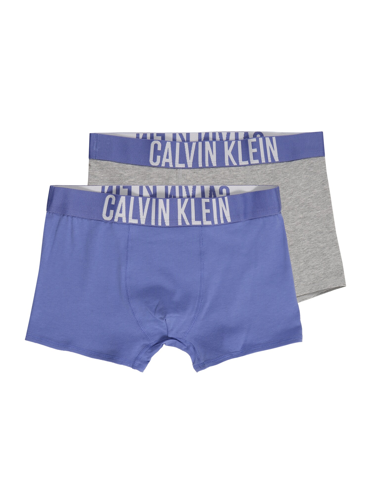 Calvin Klein Underwear Apakšbikses 'Intense Power' zils