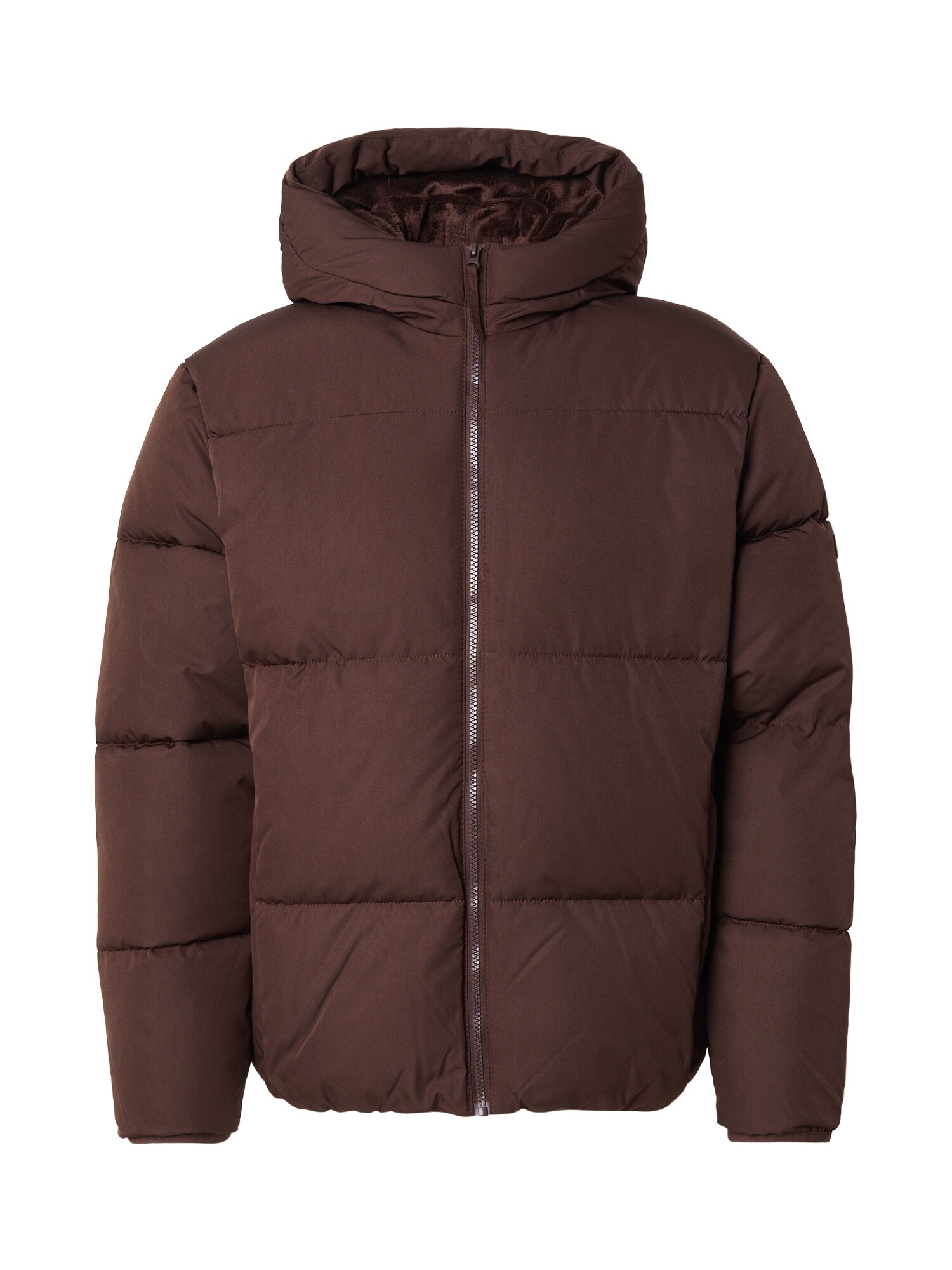 HOLLISTER Geacă de iarnă  maro
