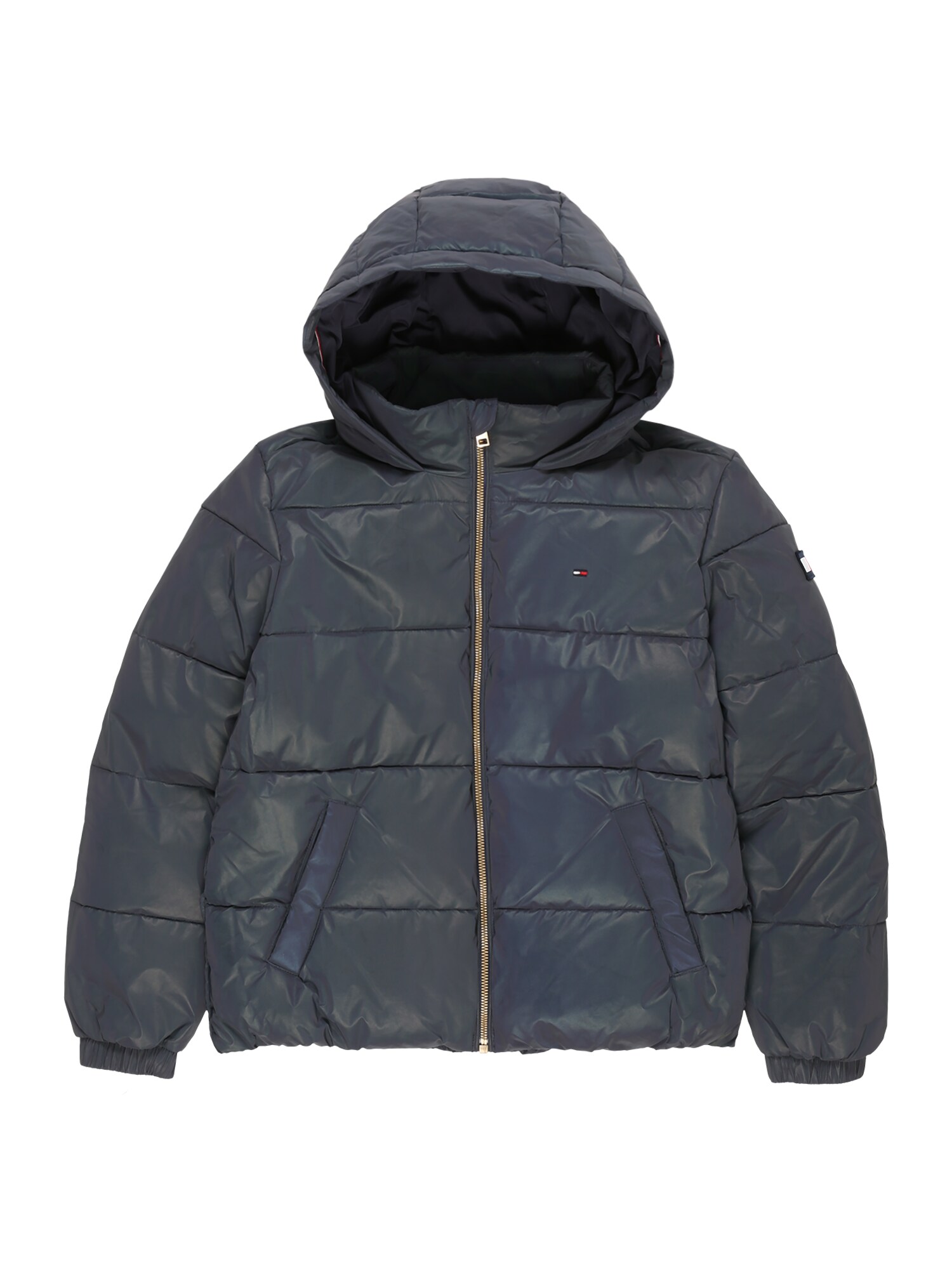 TOMMY HILFIGER Demisezoninė striukė  nakties mėlyna / balta / auksas / melionų spalva