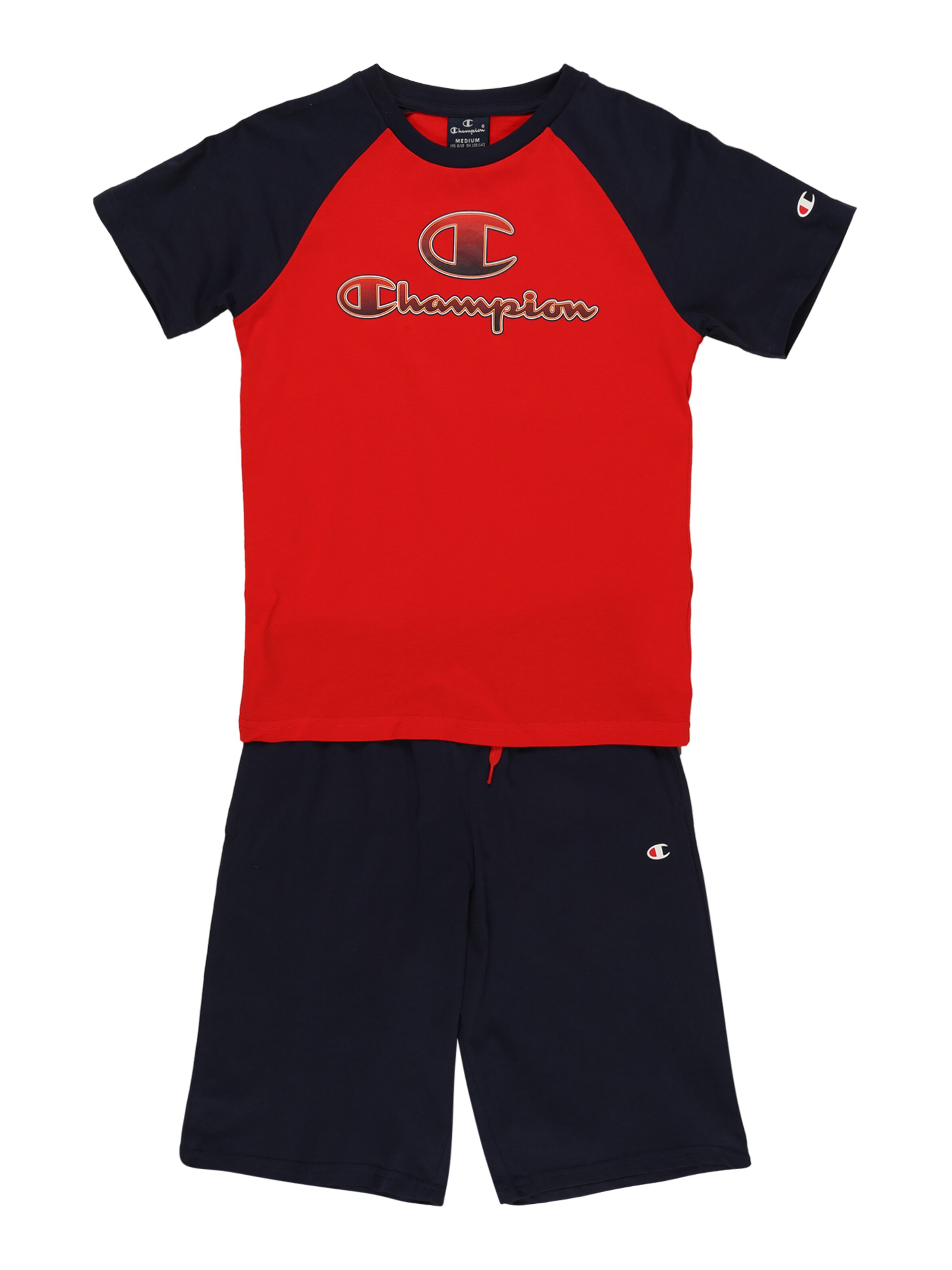 champion authentic athletic apparel shorts