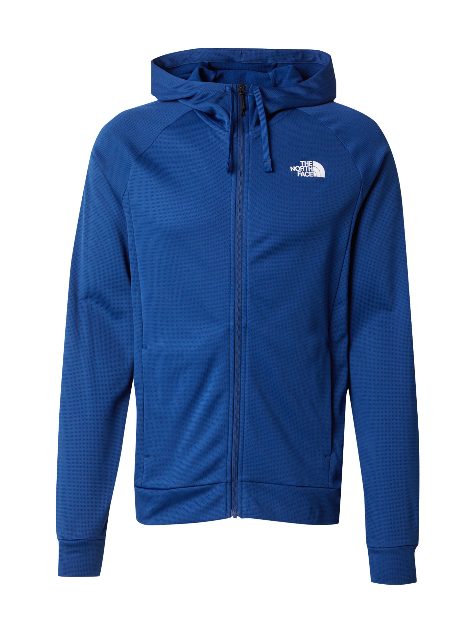 THE NORTH FACE Funktionsfleecejacka 'REAXION 2.0' herr