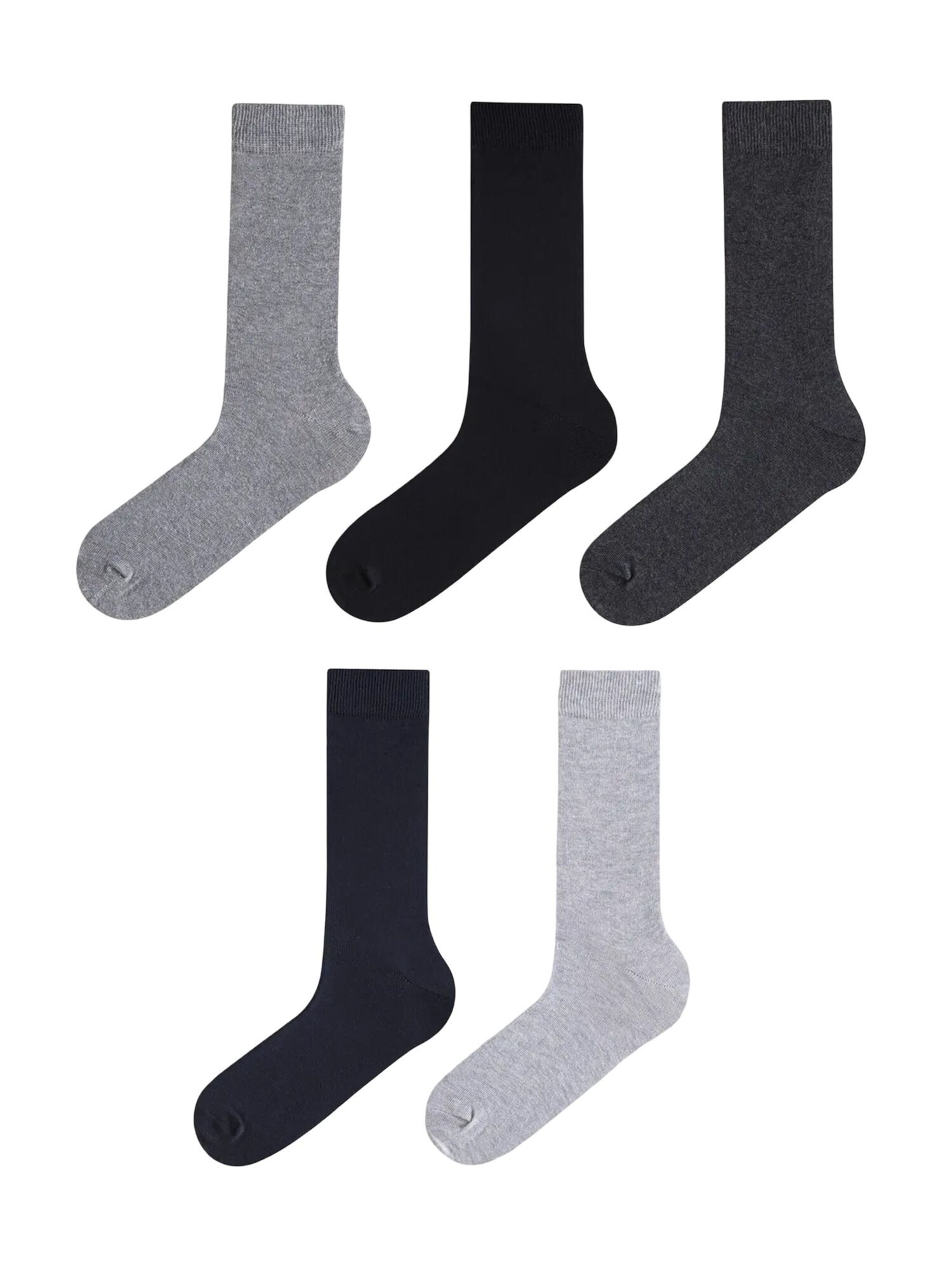 Penti Čarape 'PENTI Herren Basic 5er-Pack Socken' miks boja