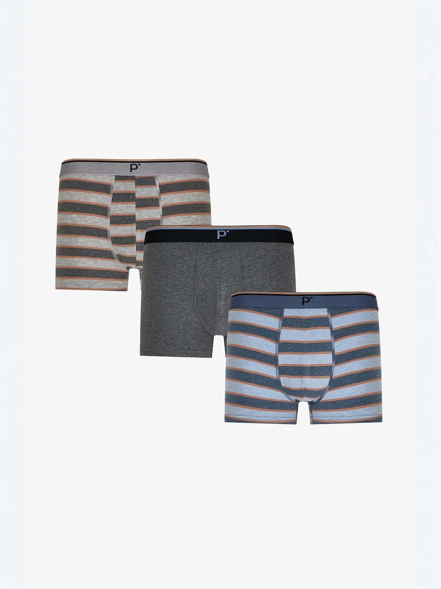 Penti Bokserice 'PENTI Herren-Boxershorts mit Kontraststreifen' miks boja