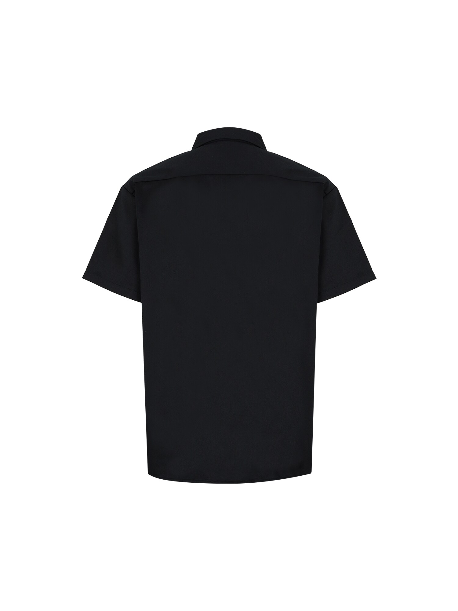 DICKIES Ing 'Clintondale'  fekete termék 2. képe