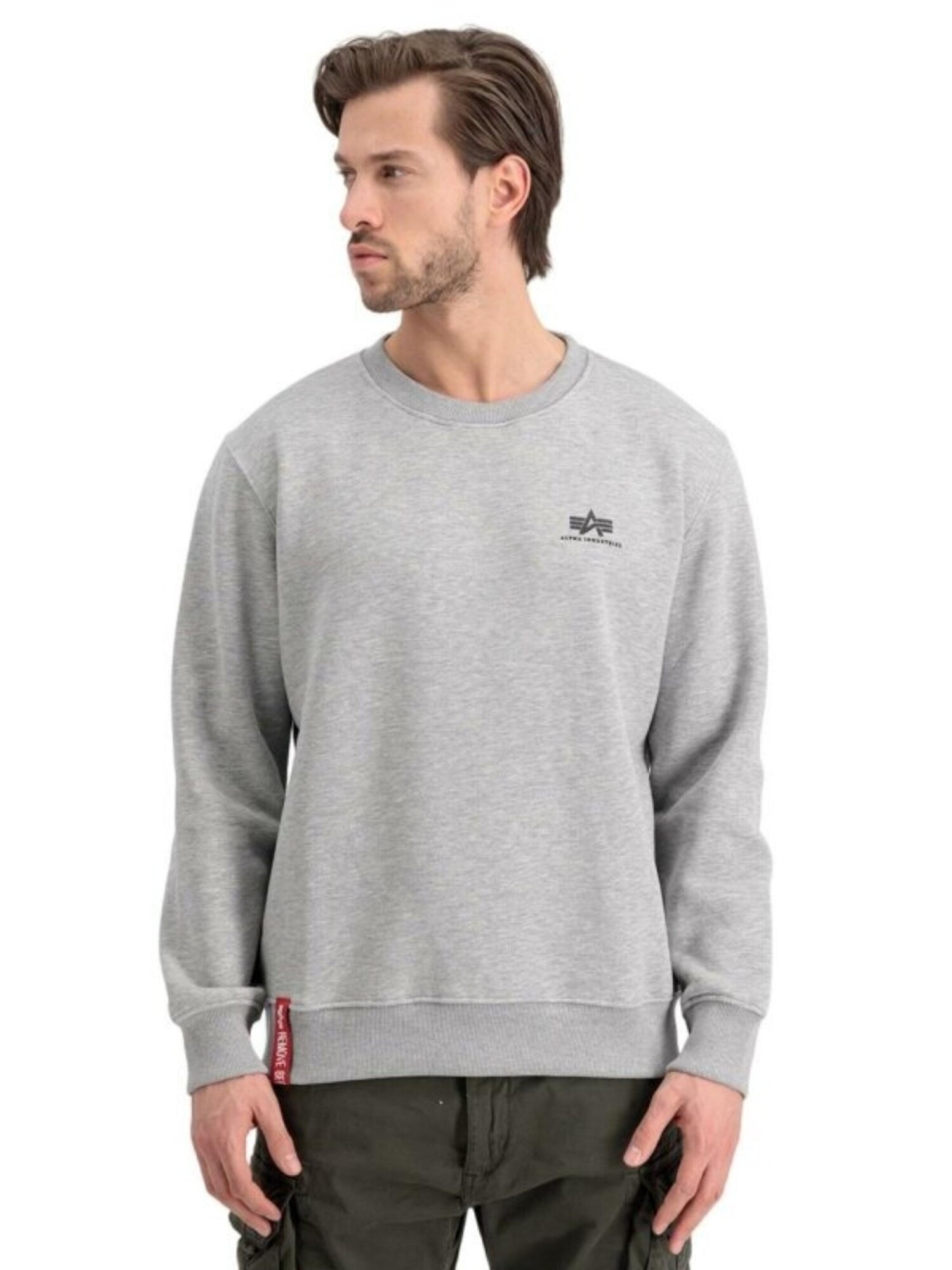 ALPHA INDUSTRIES Sudadera 'Basic Logo'  gris – imagen 3