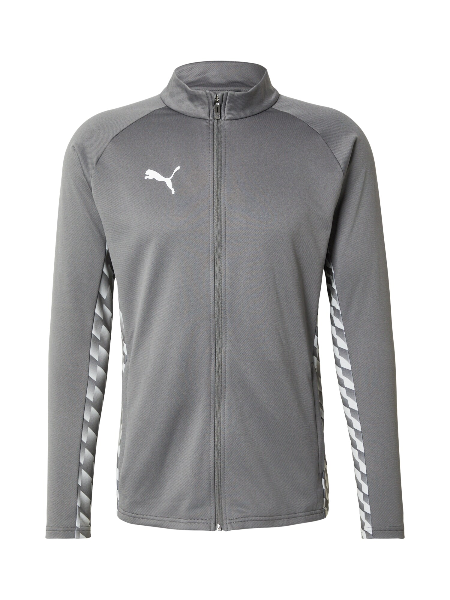 PUMA Geacă sport TeamLIGA26 gri / alb