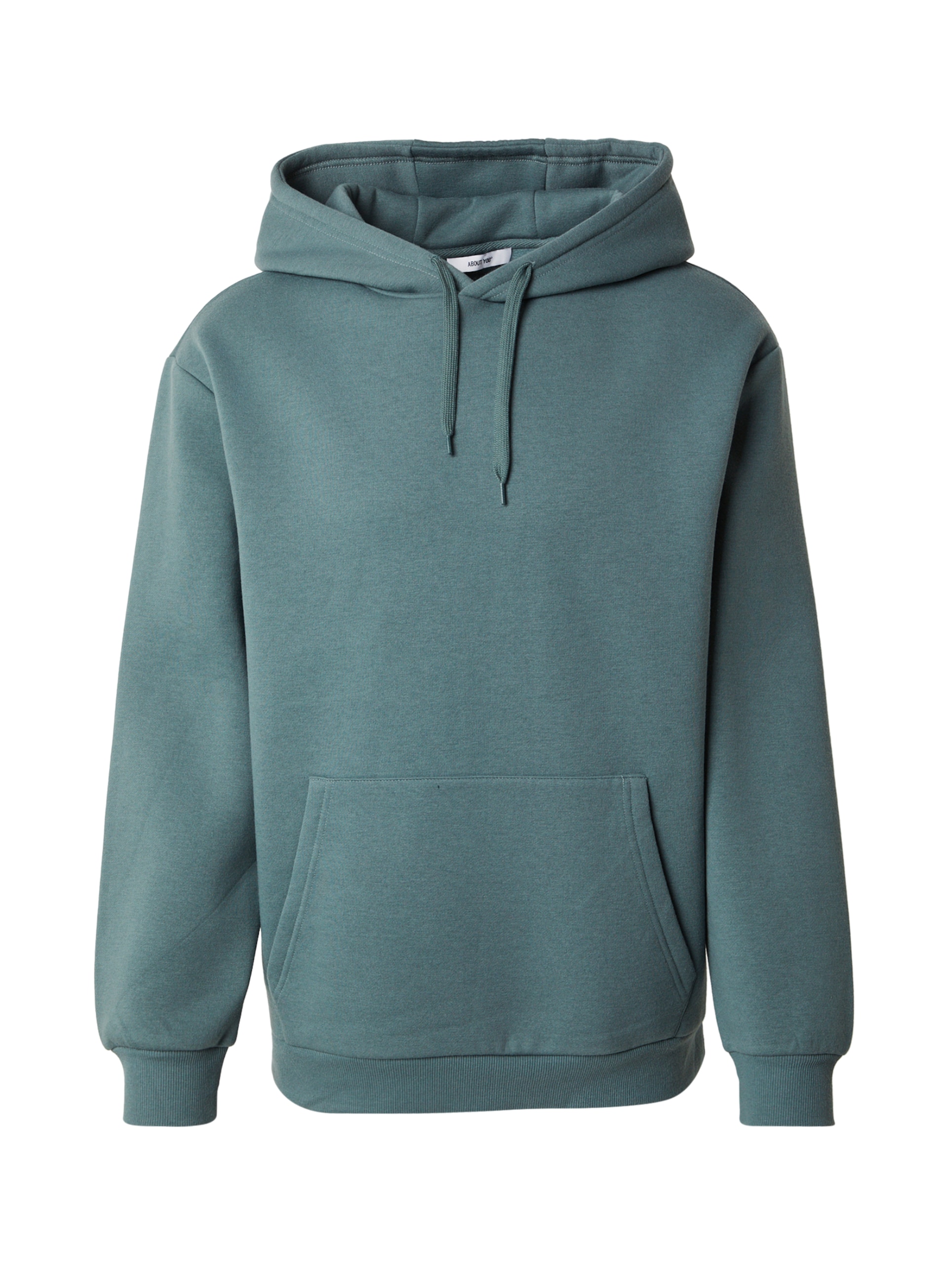 ABOUT YOU Sweatshirt 'Dian' herr