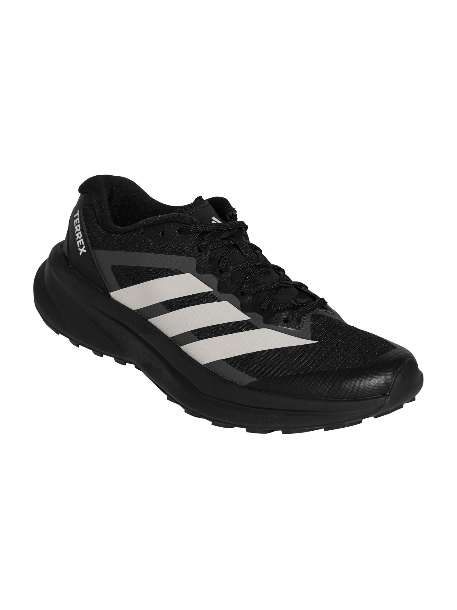ADIDAS TERREX Pantofi  gri metalic / gri deschis / negru