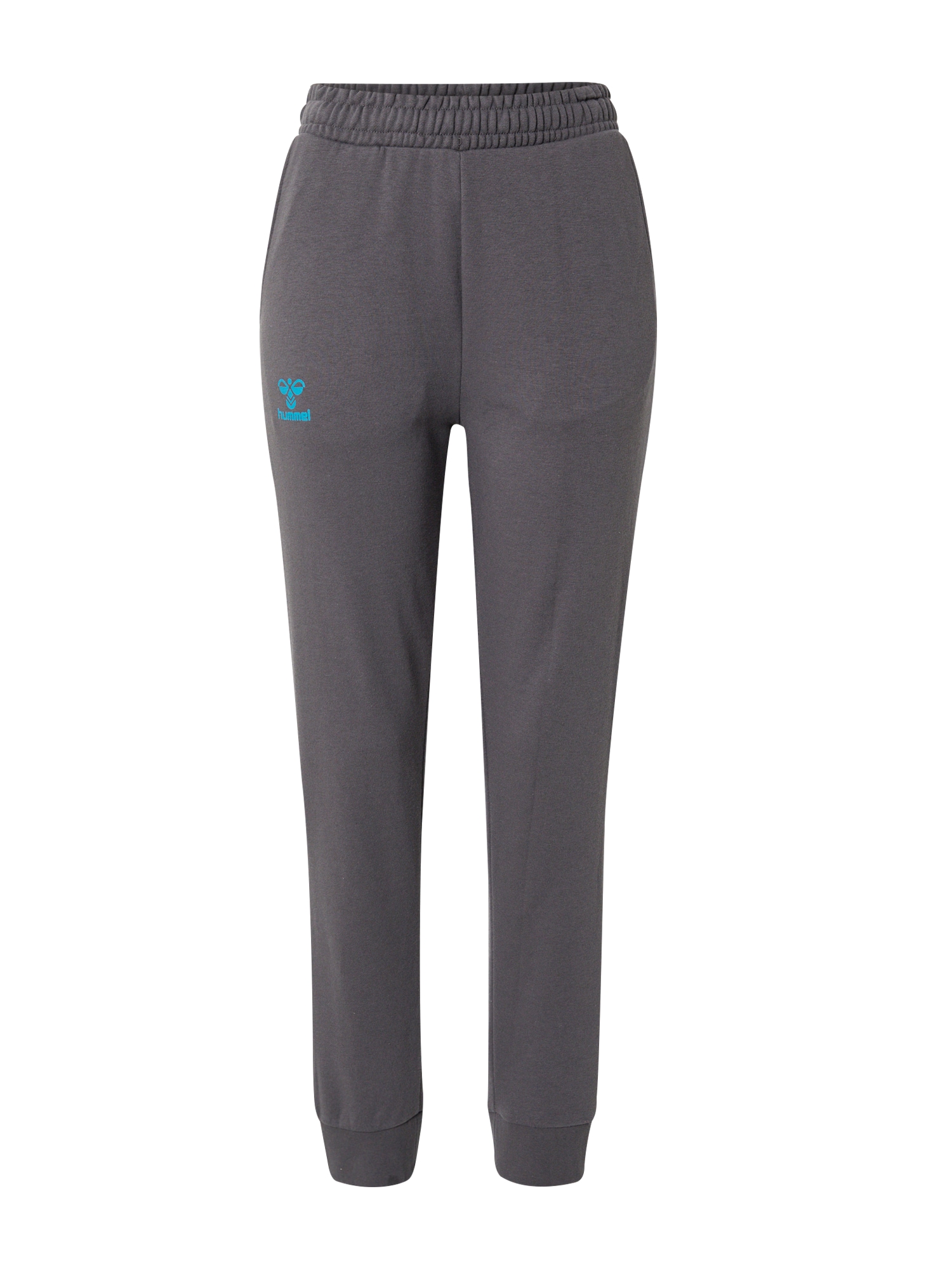 Hummel Sportske hlače 'Staltic'  plava / antracit siva