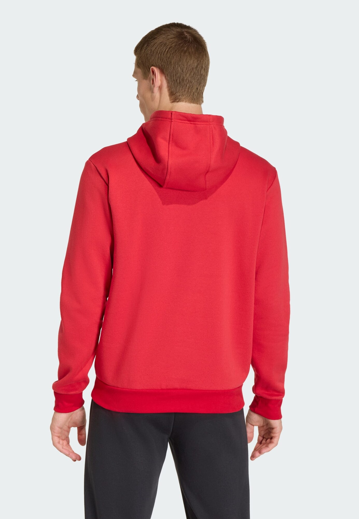 ADIDAS PERFORMANCE Camiseta deportiva 'Entrada26' arándano / blanco – imagen 3