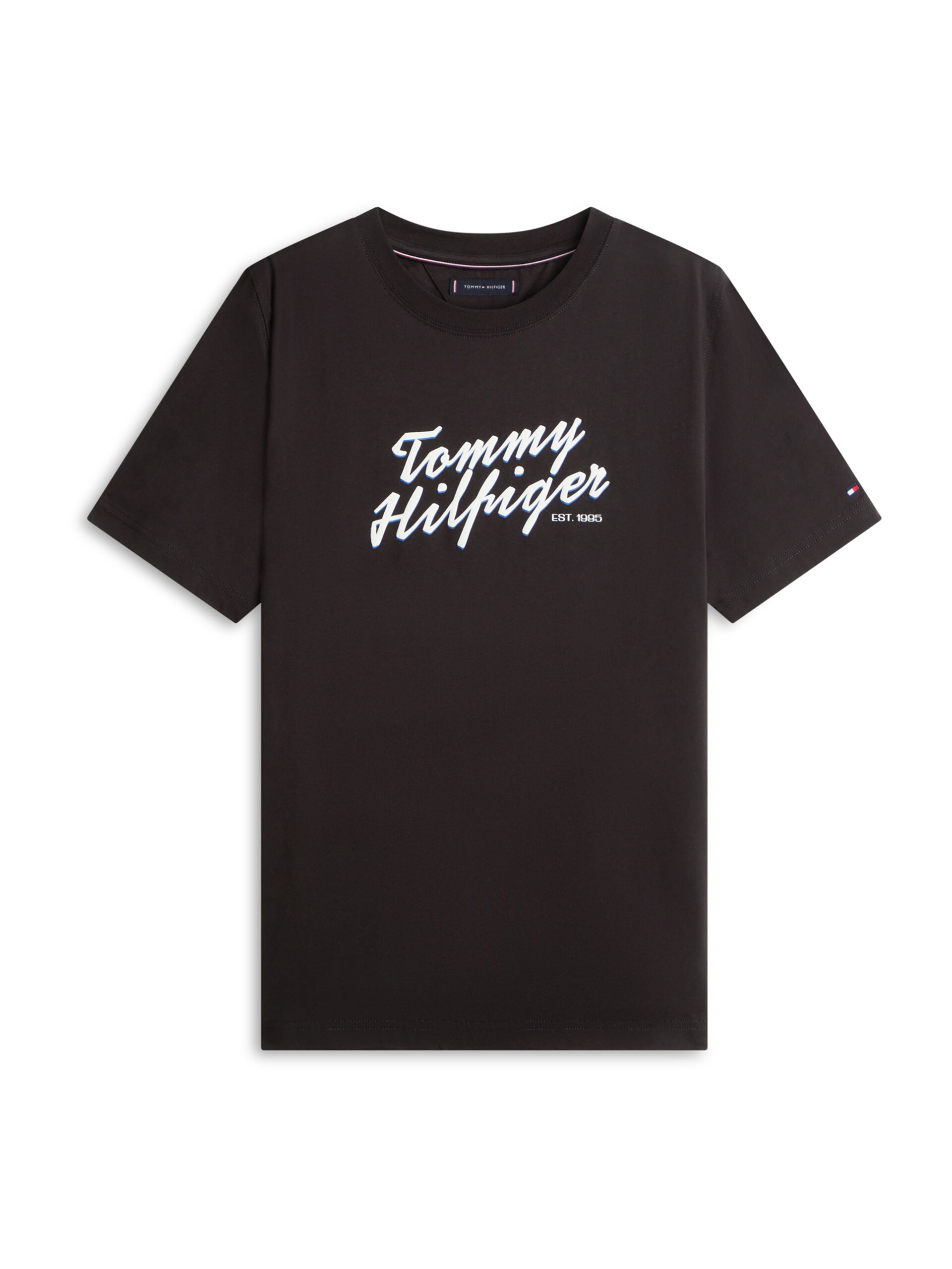 TOMMY HILFIGER T-shirt 'SUMMER' blå / svart herr