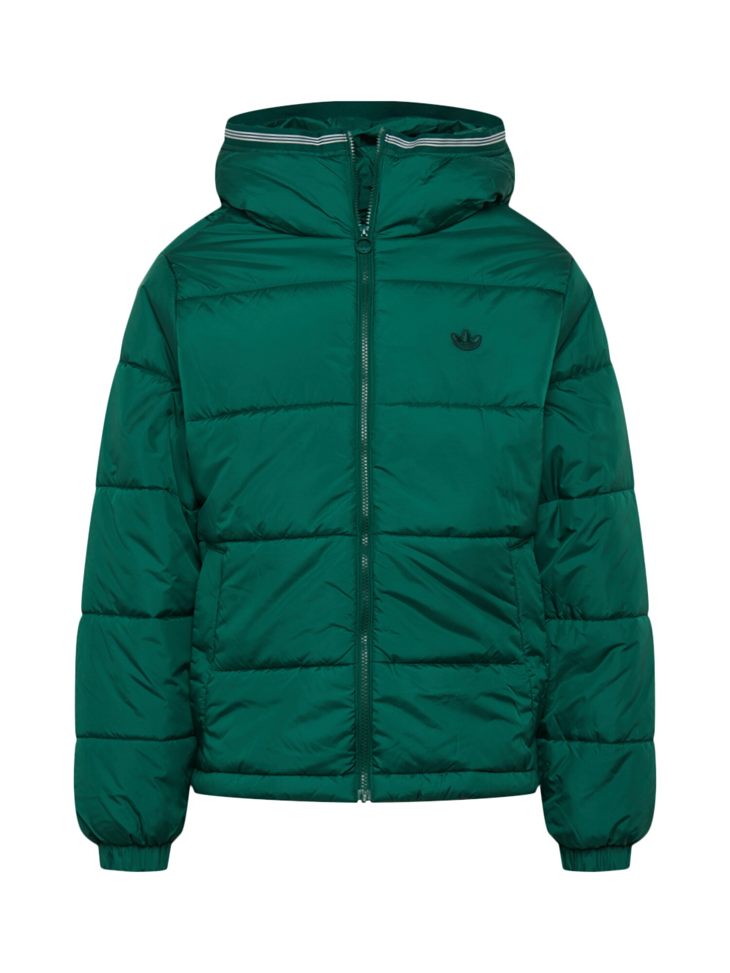 ADIDAS ORIGINALS Žieminė striukė  žalia