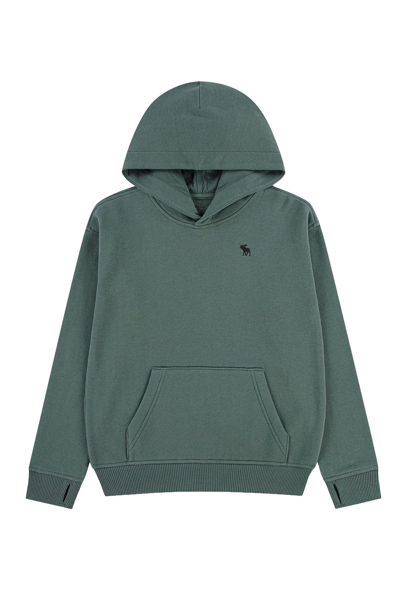 Abercrombie & Fitch Mikina 'ESSENTIALS FLEECE'  nefritová