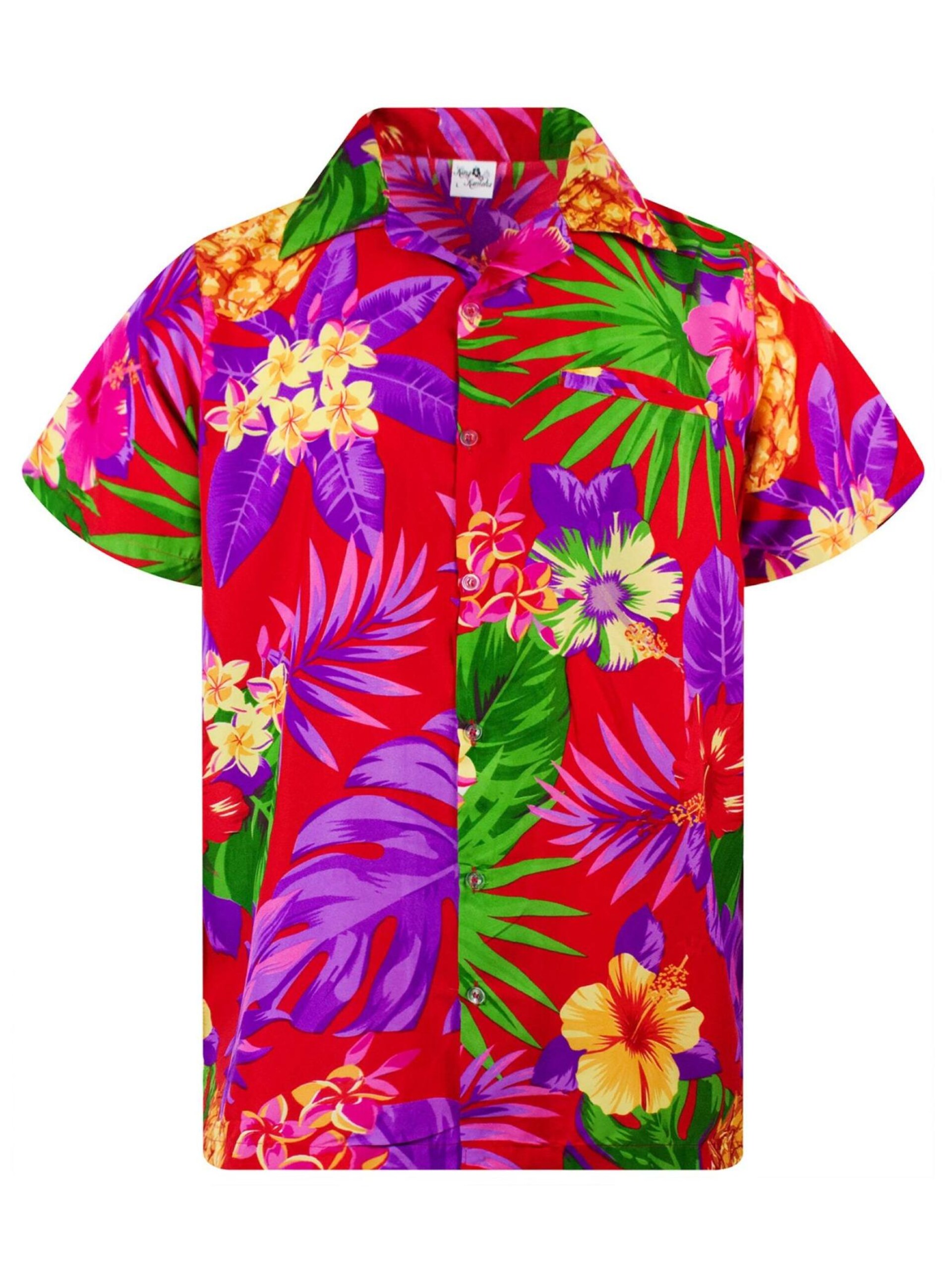 King Kameha T-shirt 'Pineapple' herr