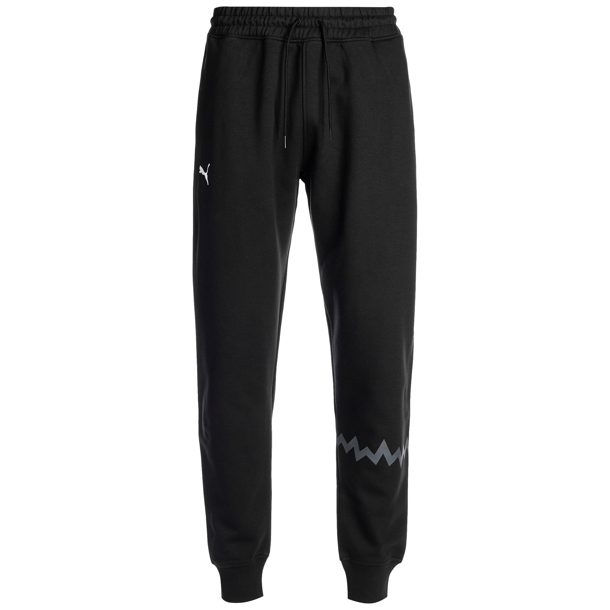 PUMA Športne hlače 'Hoops Team'  siva / črna