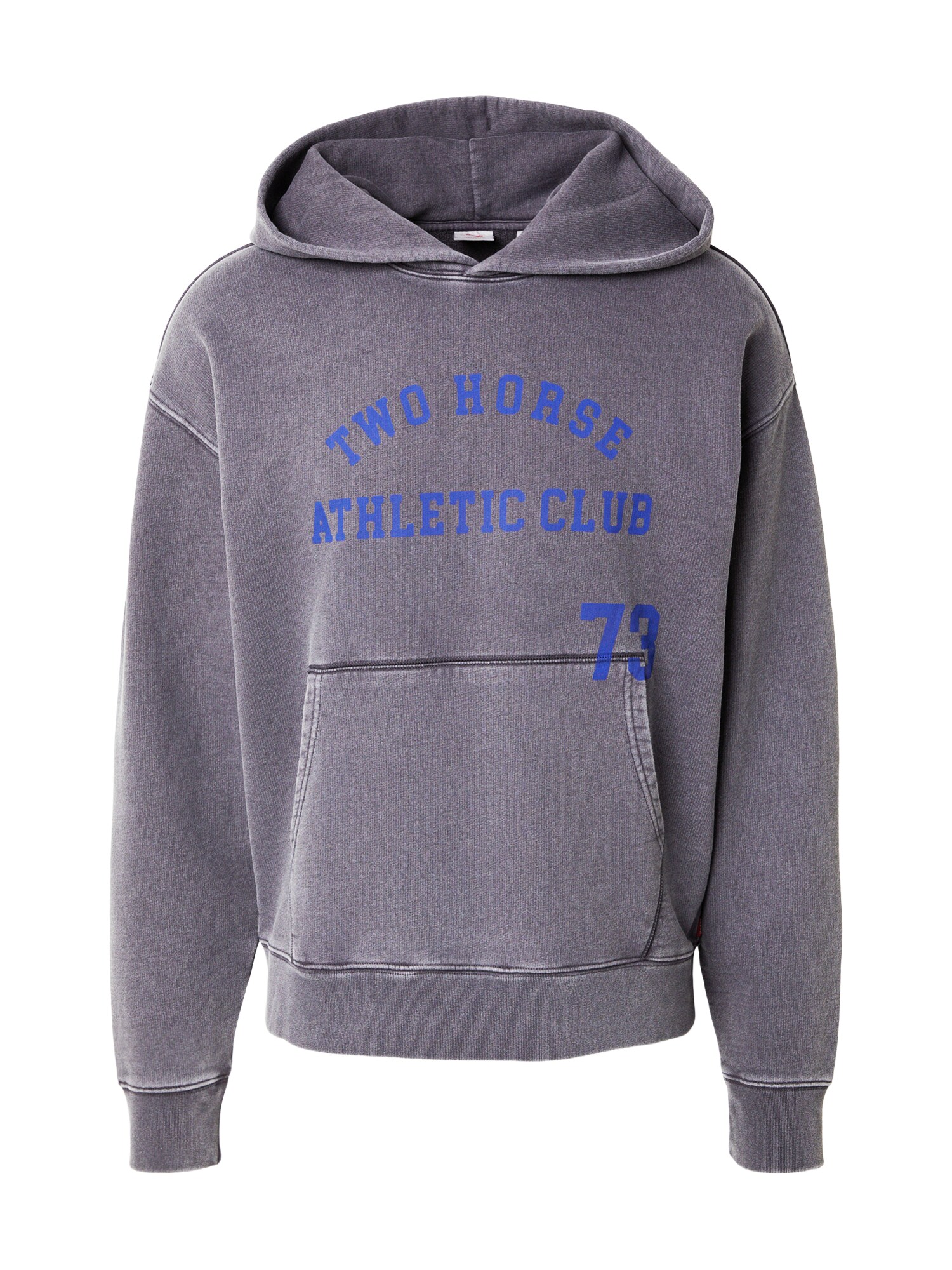 Sweatshirt 'Two Horse'
