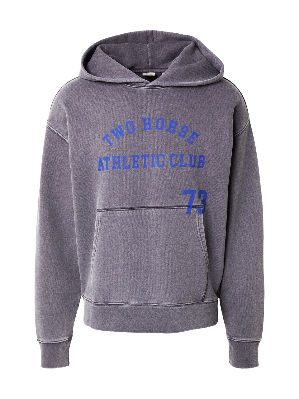 Sweatshirt 'Two Horse'