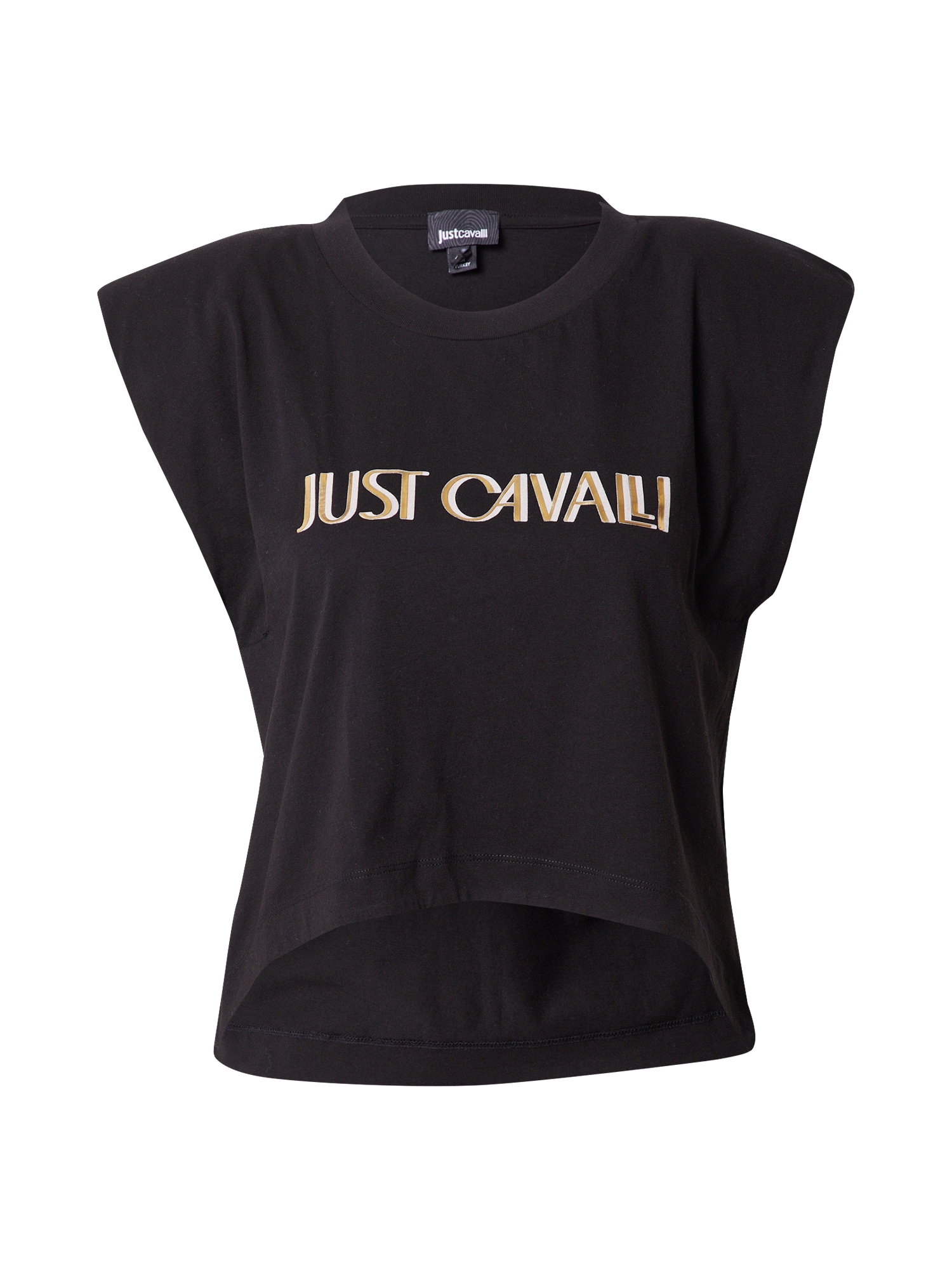 Just Cavalli Marškinėliai 'HAILEY 2' juoda / smėlio / balta