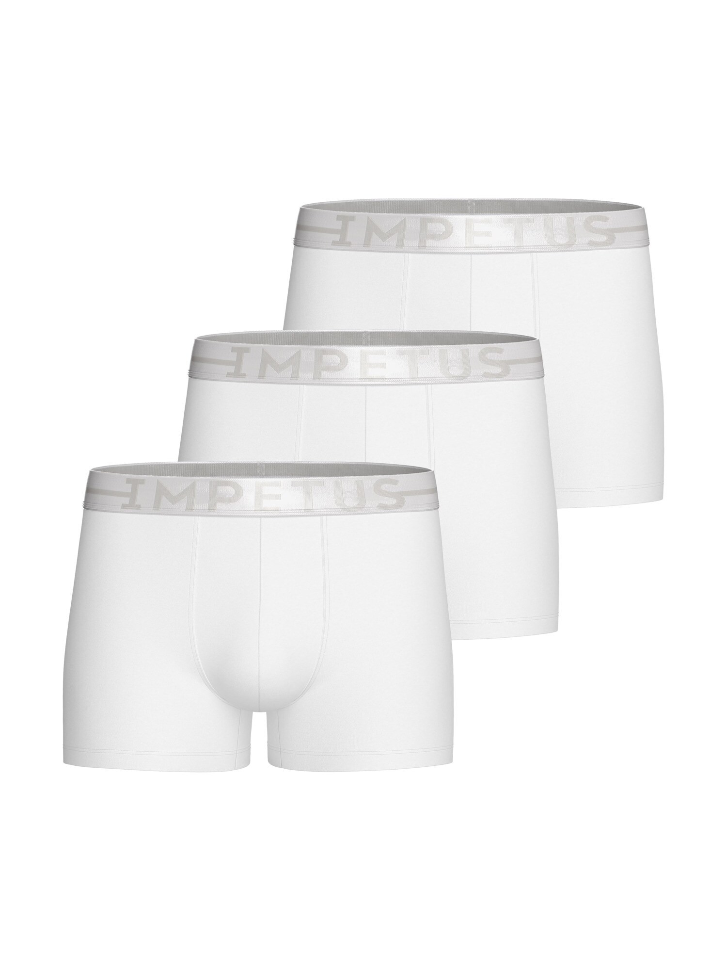IMPETUS Calzoncillo boxer  gris plateado / blanco