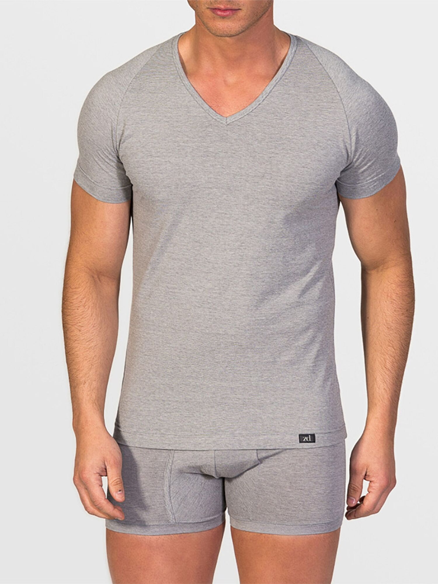 zd ZERO DEFECTS Maglietta intima 'V-Neck T-Shirt Egiptian Cotton'  grigio
