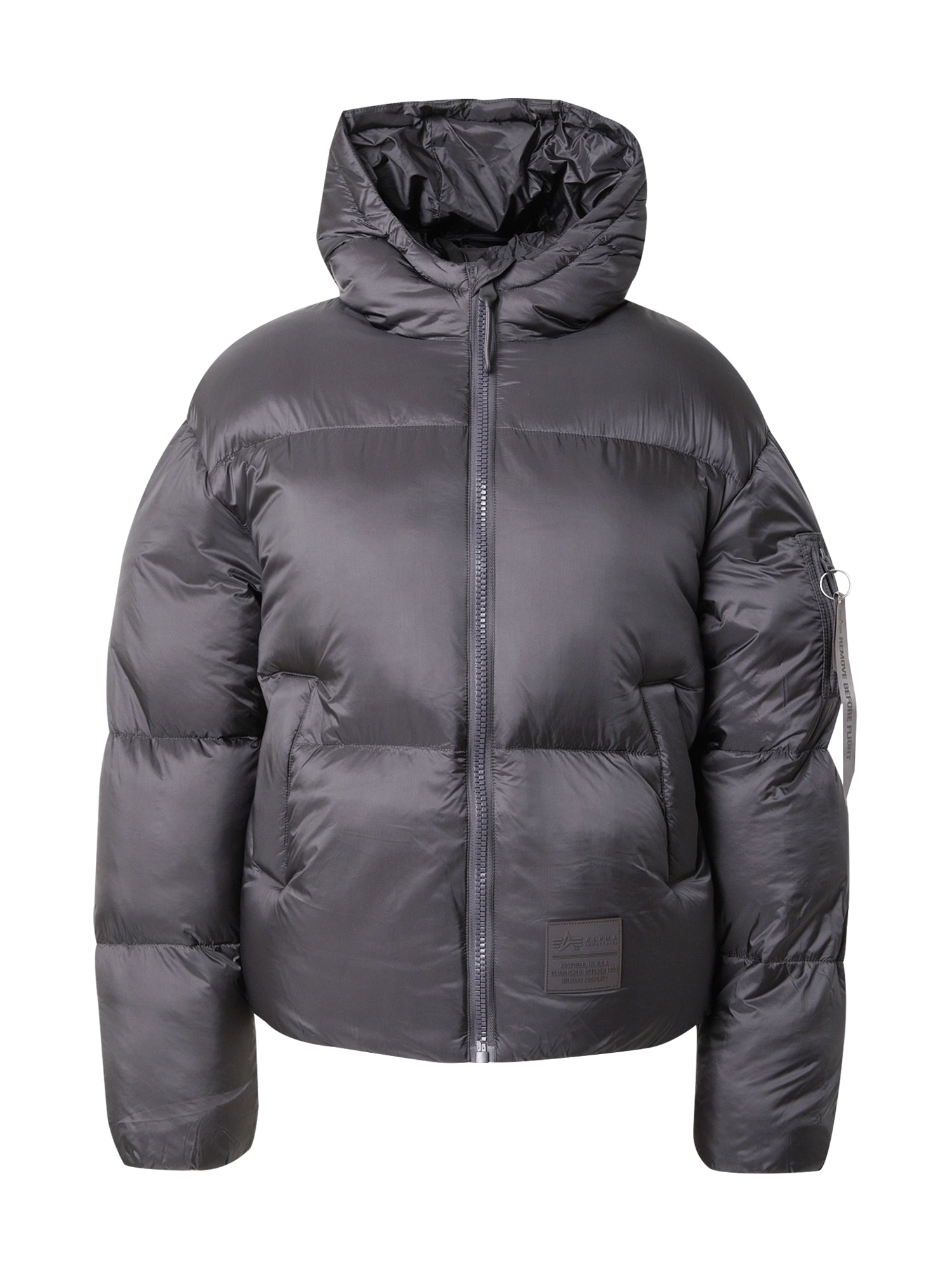 ALPHA INDUSTRIES Zimná bunda  tmavosivá