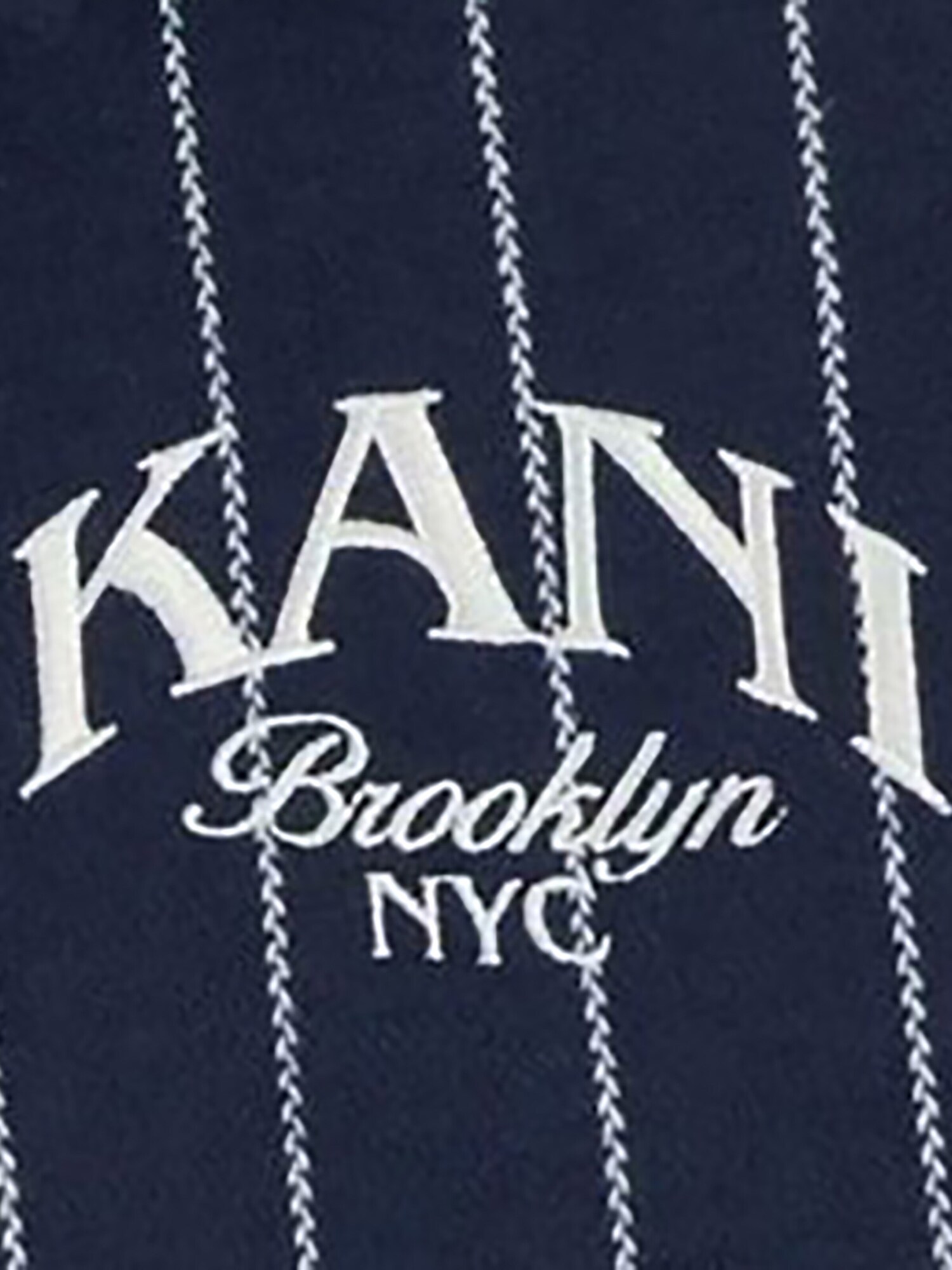 Karl Kani Chaqueta de montaña 'Pinstripes'  azul oscuro – imagen 4