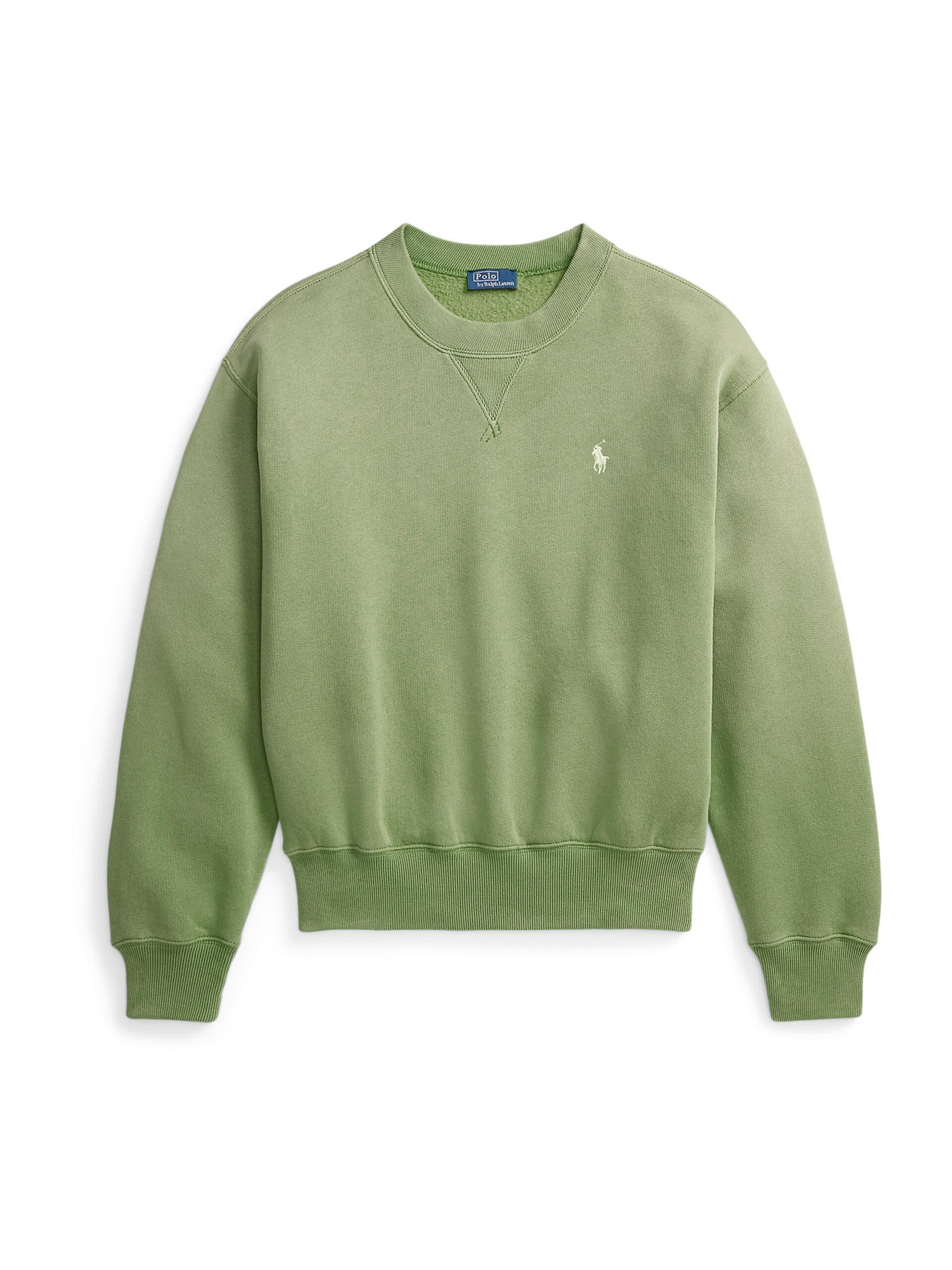 Polo Ralph Lauren Sweatshirt 'ARCTIC' dam
