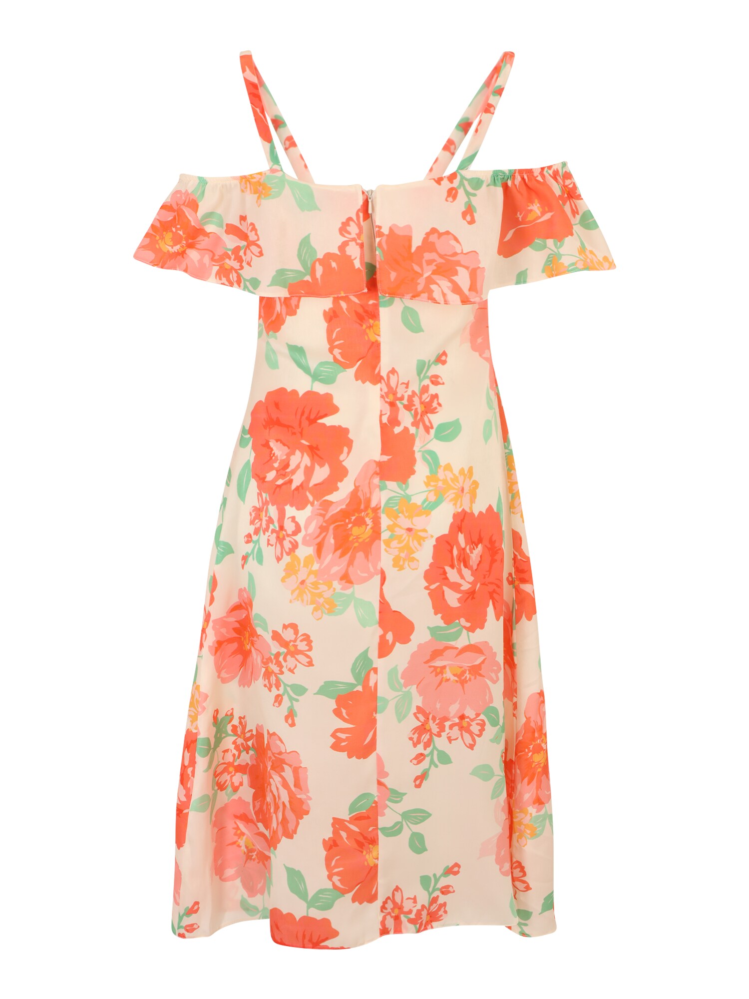 Dorothy Perkins Petite Ruha  bézs / zöld / narancs / sötét narancssárga termék 2. képe