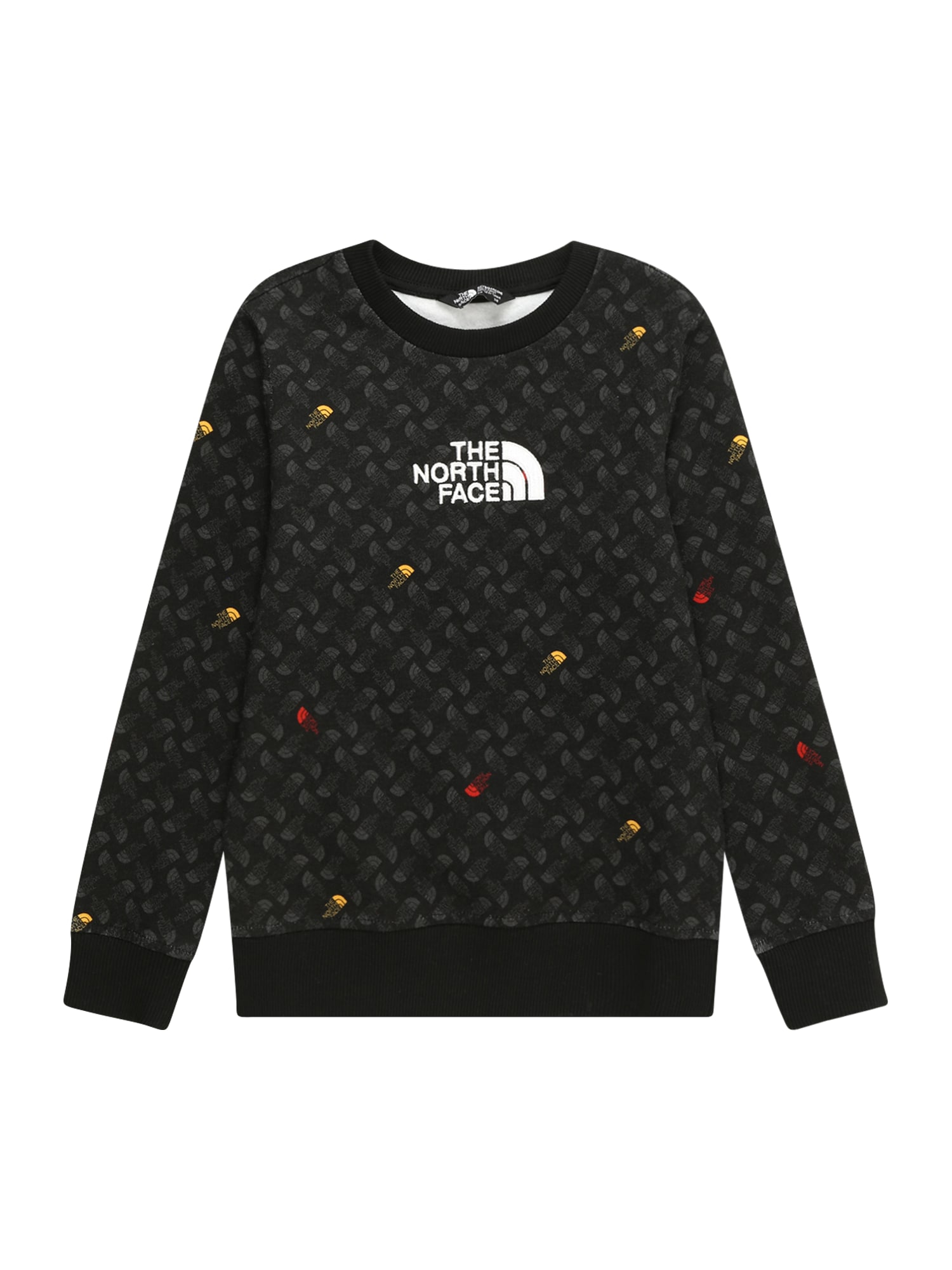 THE NORTH FACE Sportska sweater majica 'DREW PEAK'  siva / crna / bijela