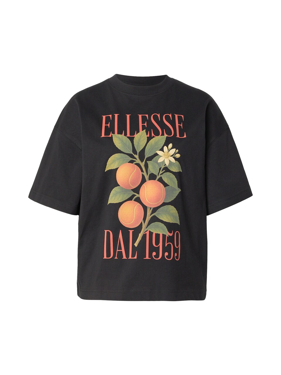 T-shirt '1959' kiwi / mandarin / roströd