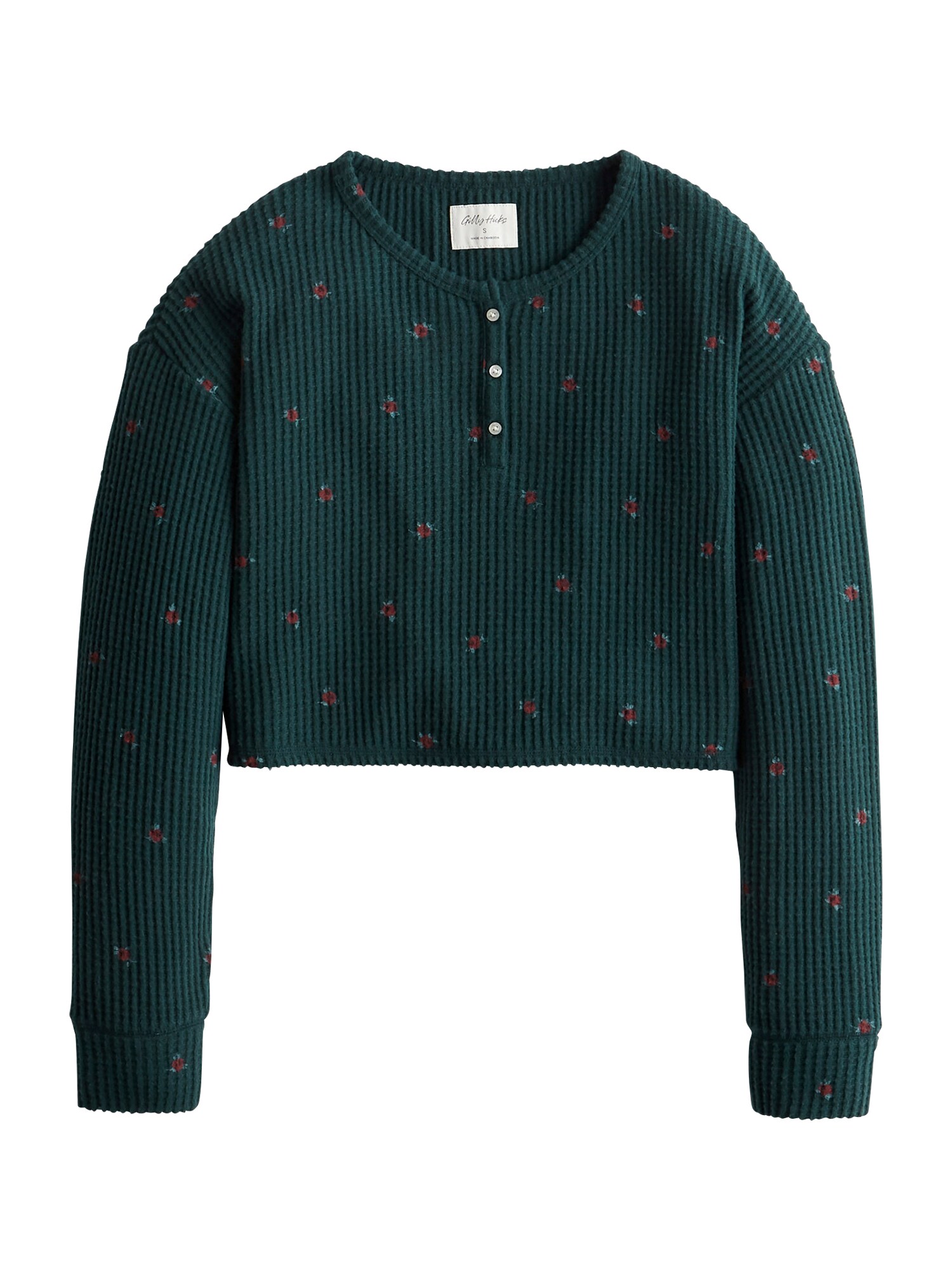 HOLLISTER Marškinėliai  tamsiai žalia / raudona