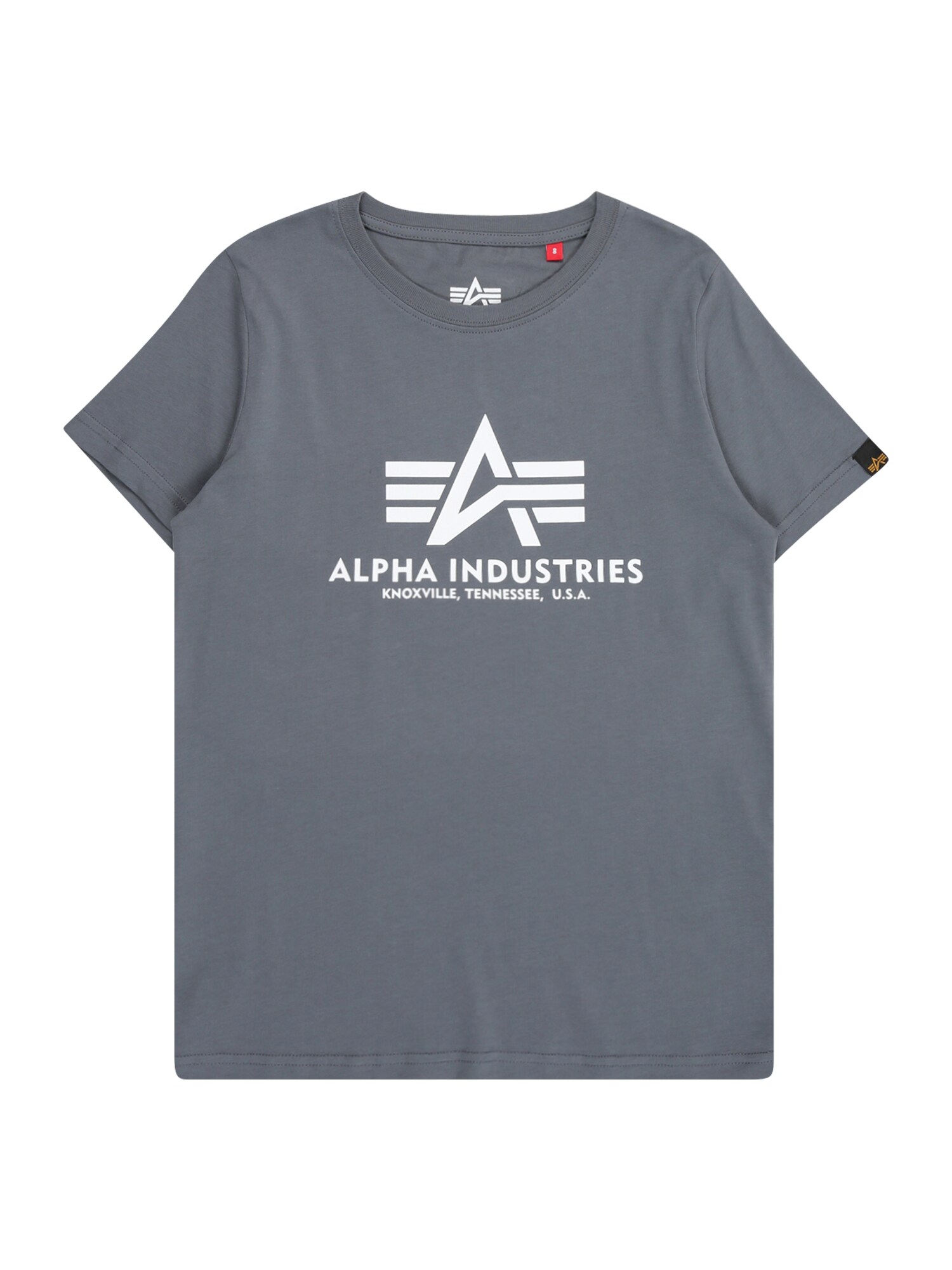 ALPHA INDUSTRIES Tricou  opal / negru / alb