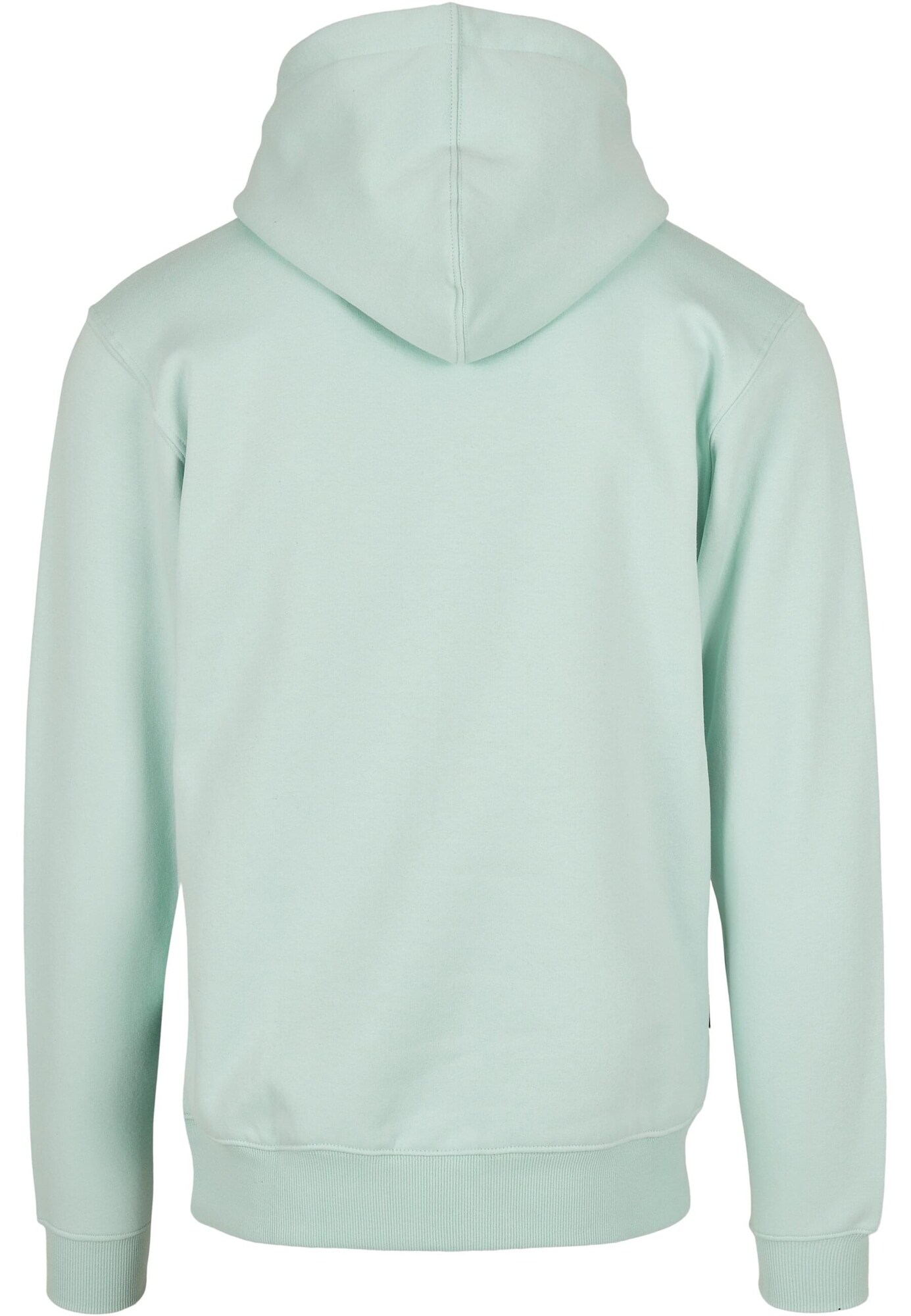 Cayler & Sons Tréning póló  menta termék 2. képe